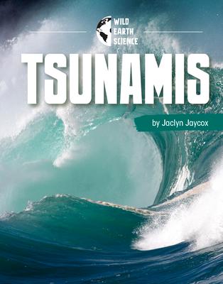Vorderes Coverbild Tsunamis
