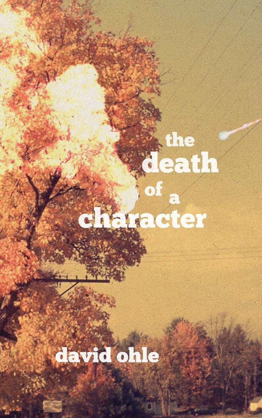 Vorderes Coverbild The Death of a Character