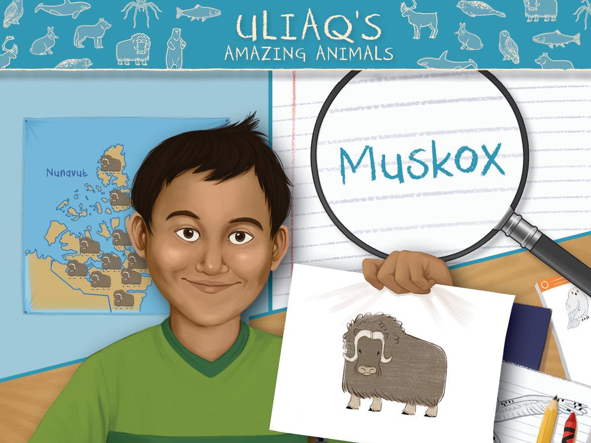 Vorderes Coverbild Uliaq's Amazing Animals: Muskox