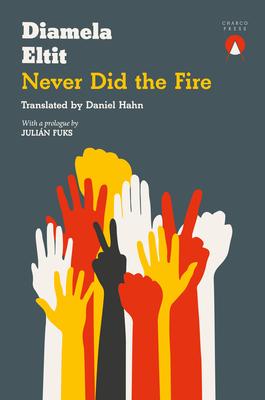Vorderes Coverbild Never Did the Fire
