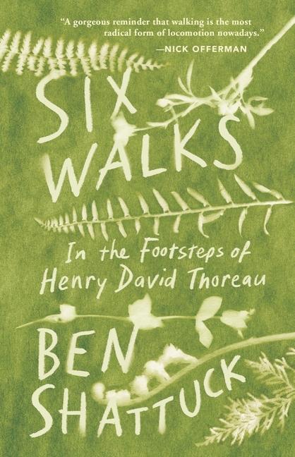 Vorderes Coverbild Six Walks