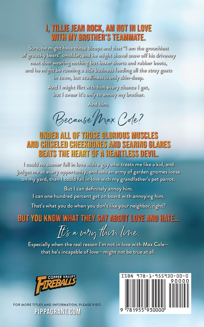 Rückseitencover The Grumpy Player Next Door