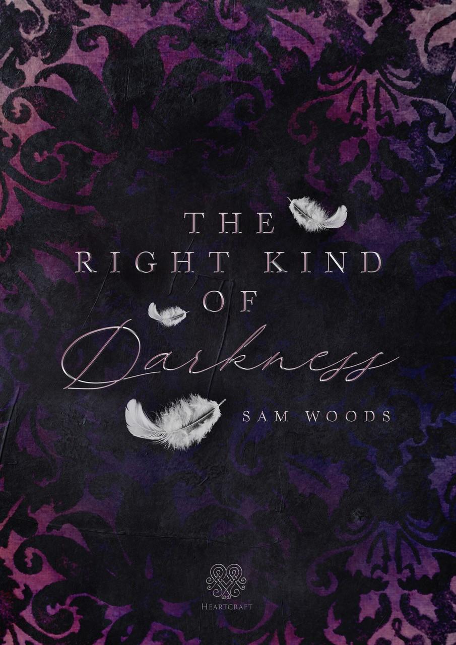 Vorderes Coverbild The right kind of Darkness