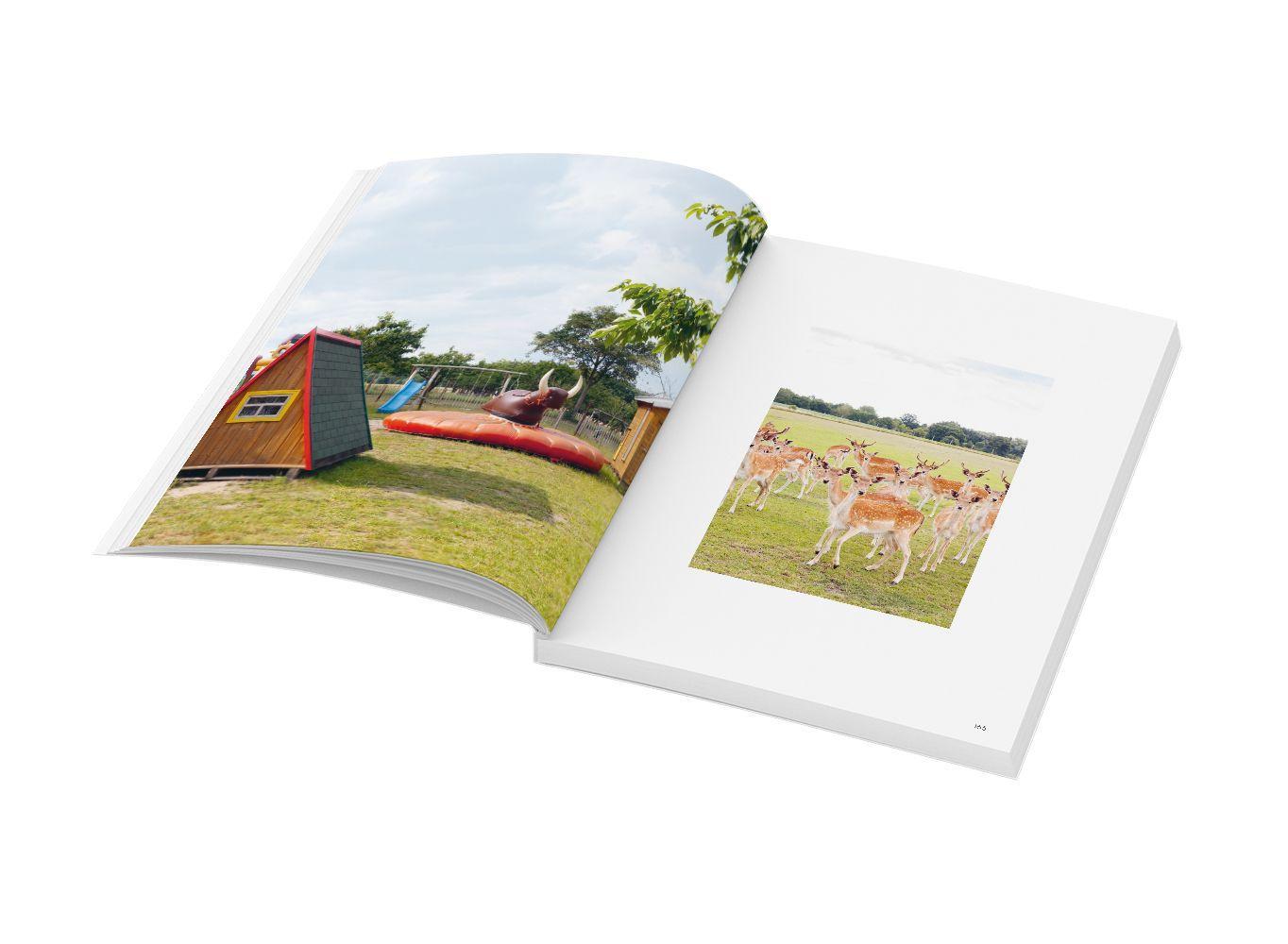 Beispielinhalt (Bild) Wochenender: Lieblingsorte für Familien in und um Hamburg