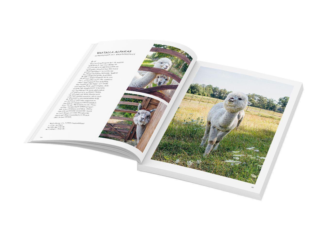 Beispielinhalt (Bild) Wochenender: Lieblingsorte für Familien in und um Hamburg