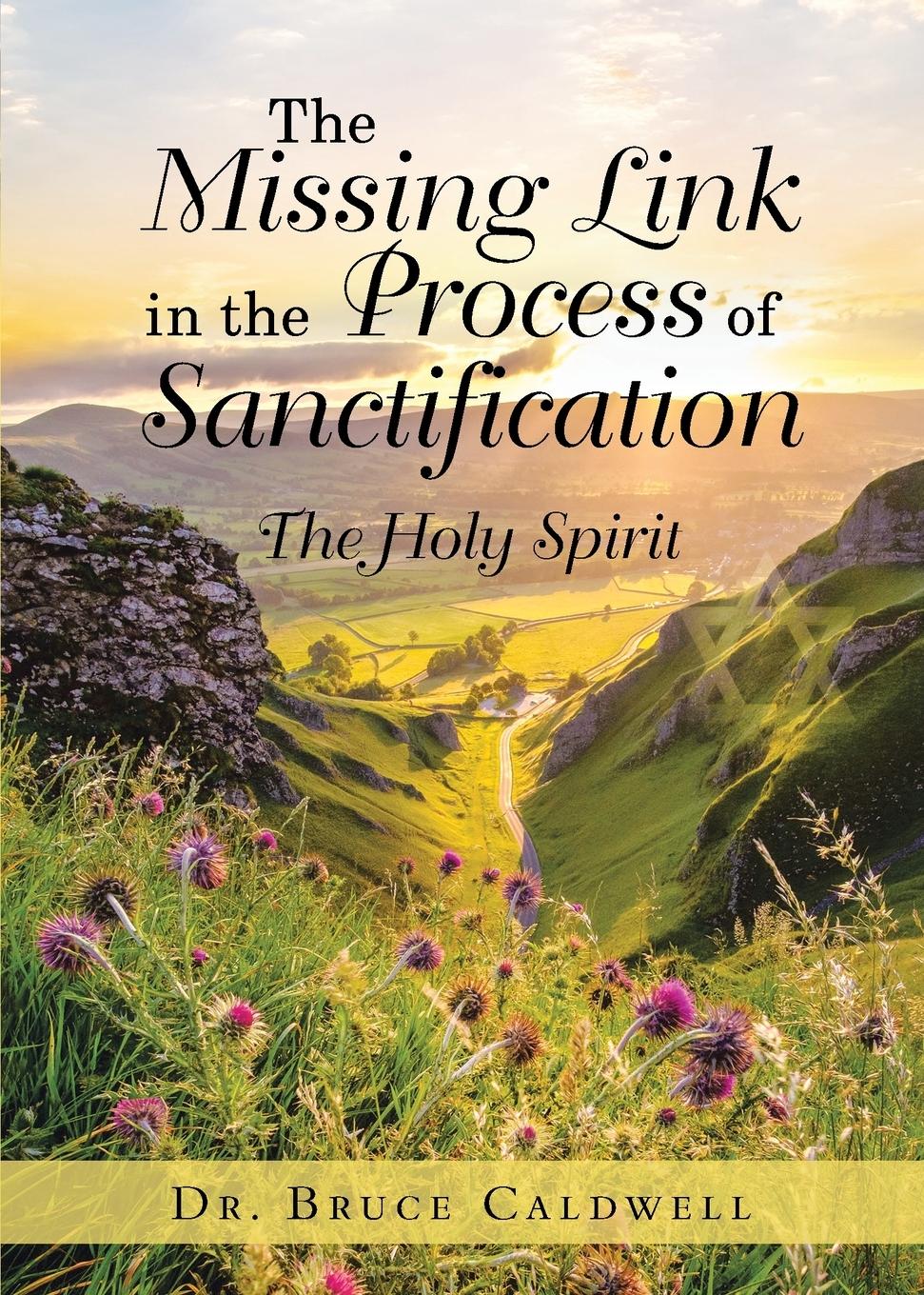 Vorderes Coverbild The Missing Link in the Process of Sanctification