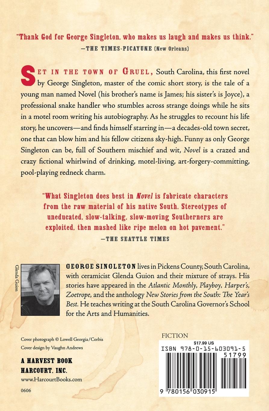 Rückseitencover Novel