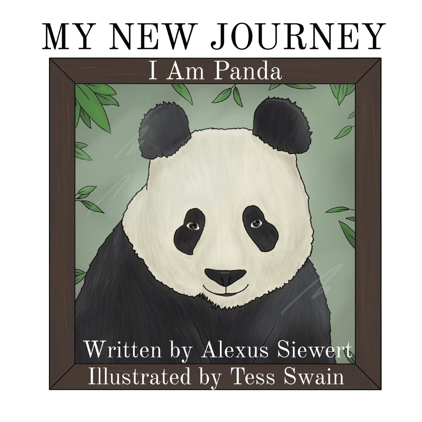 Vorderes Coverbild MY NEW JOURNEY
