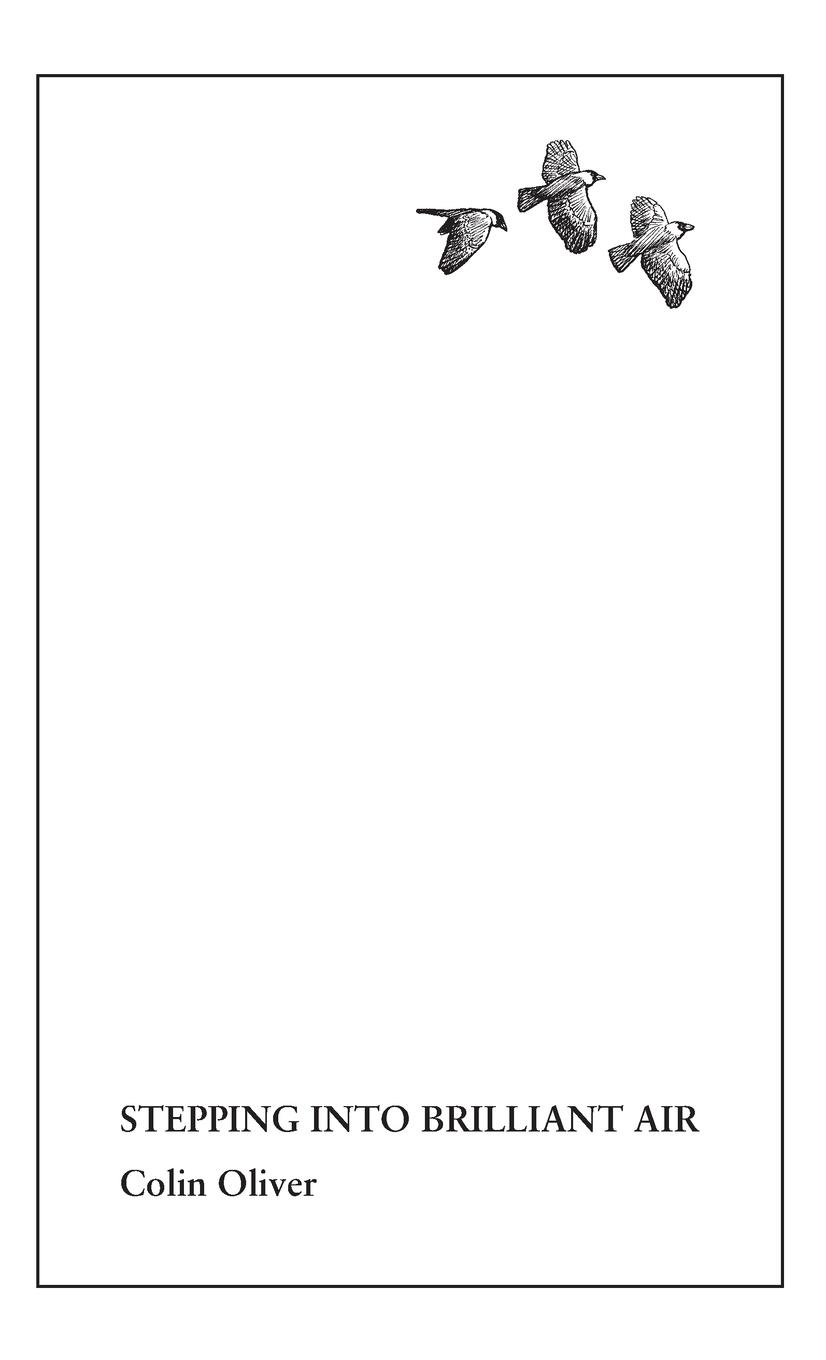 Vorderes Coverbild Stepping Into Brilliant Air