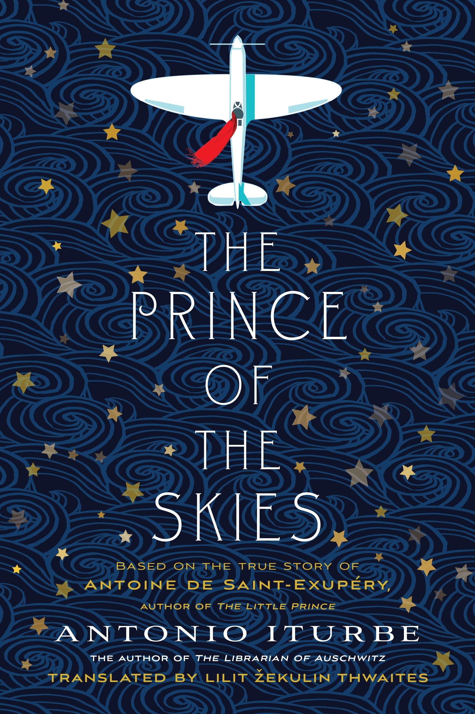 Vorderes Coverbild Prince of the Skies