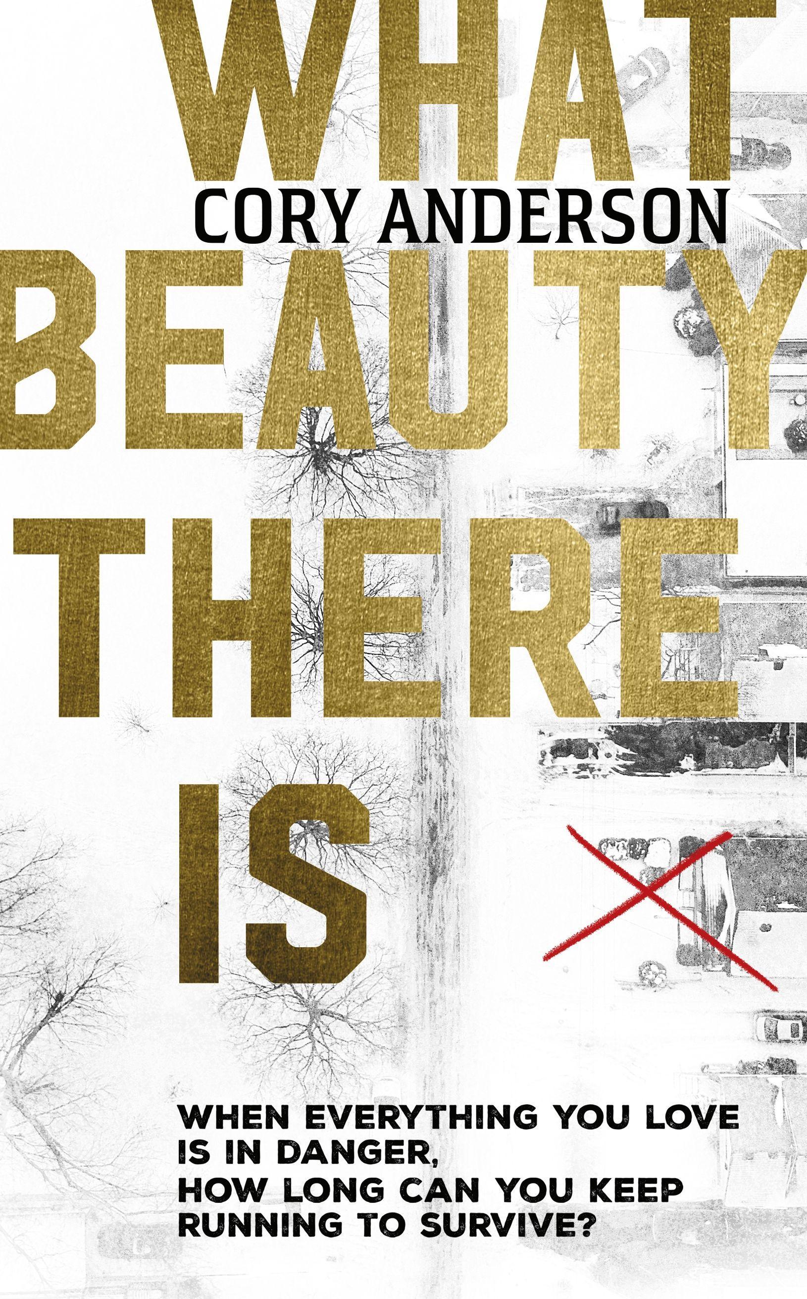 Vorderes Coverbild What Beauty There Is