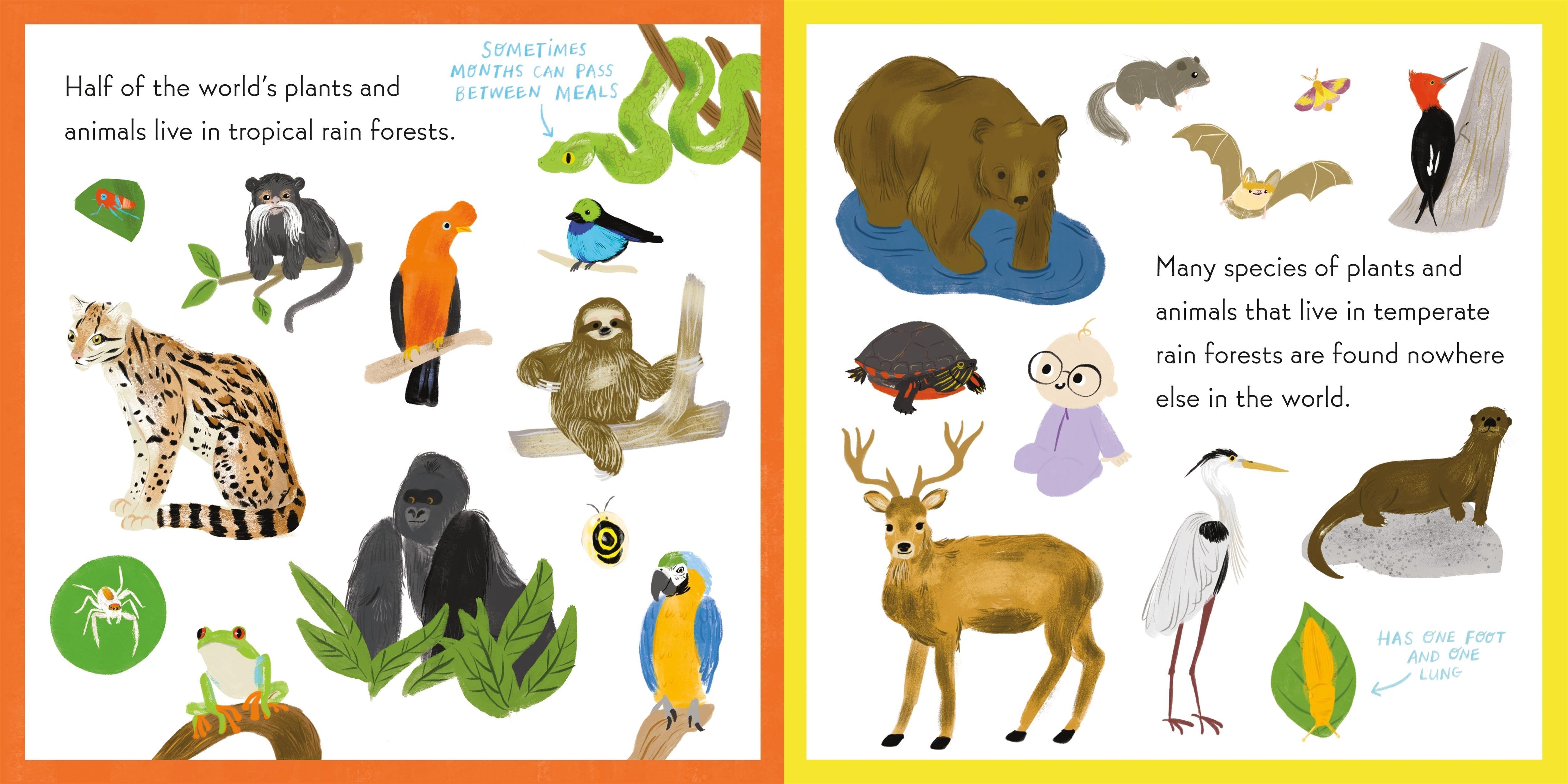 Beispielinhalt (Bild) Nerdy Babies: Rain Forests