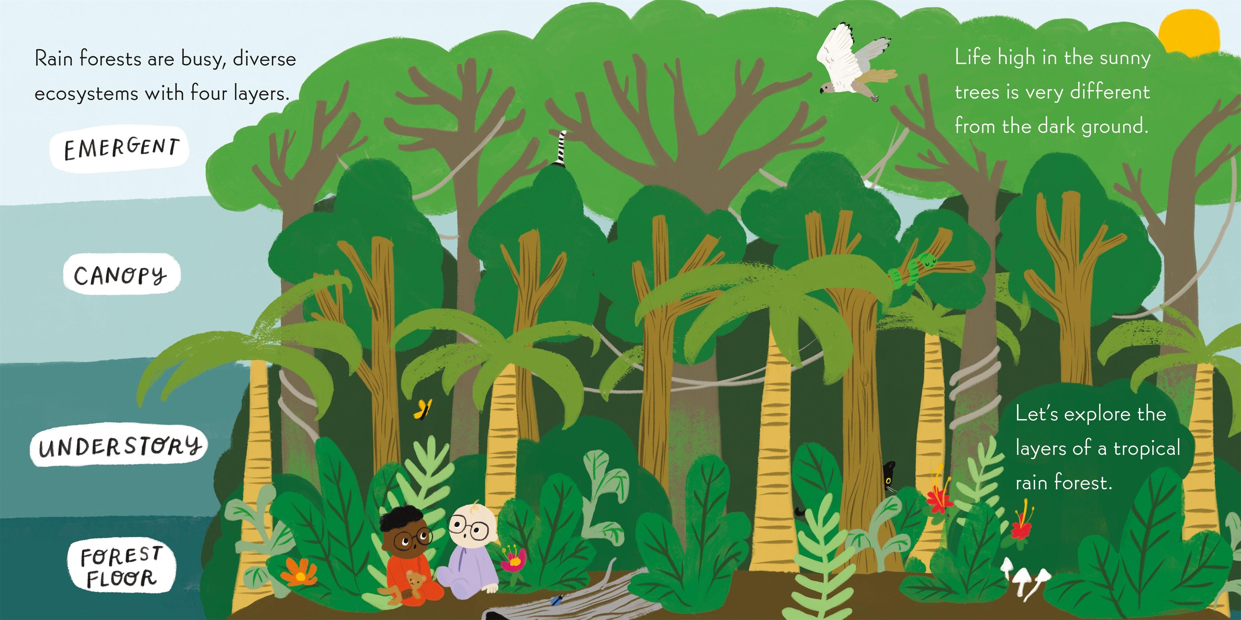 Beispielinhalt (Bild) Nerdy Babies: Rain Forests