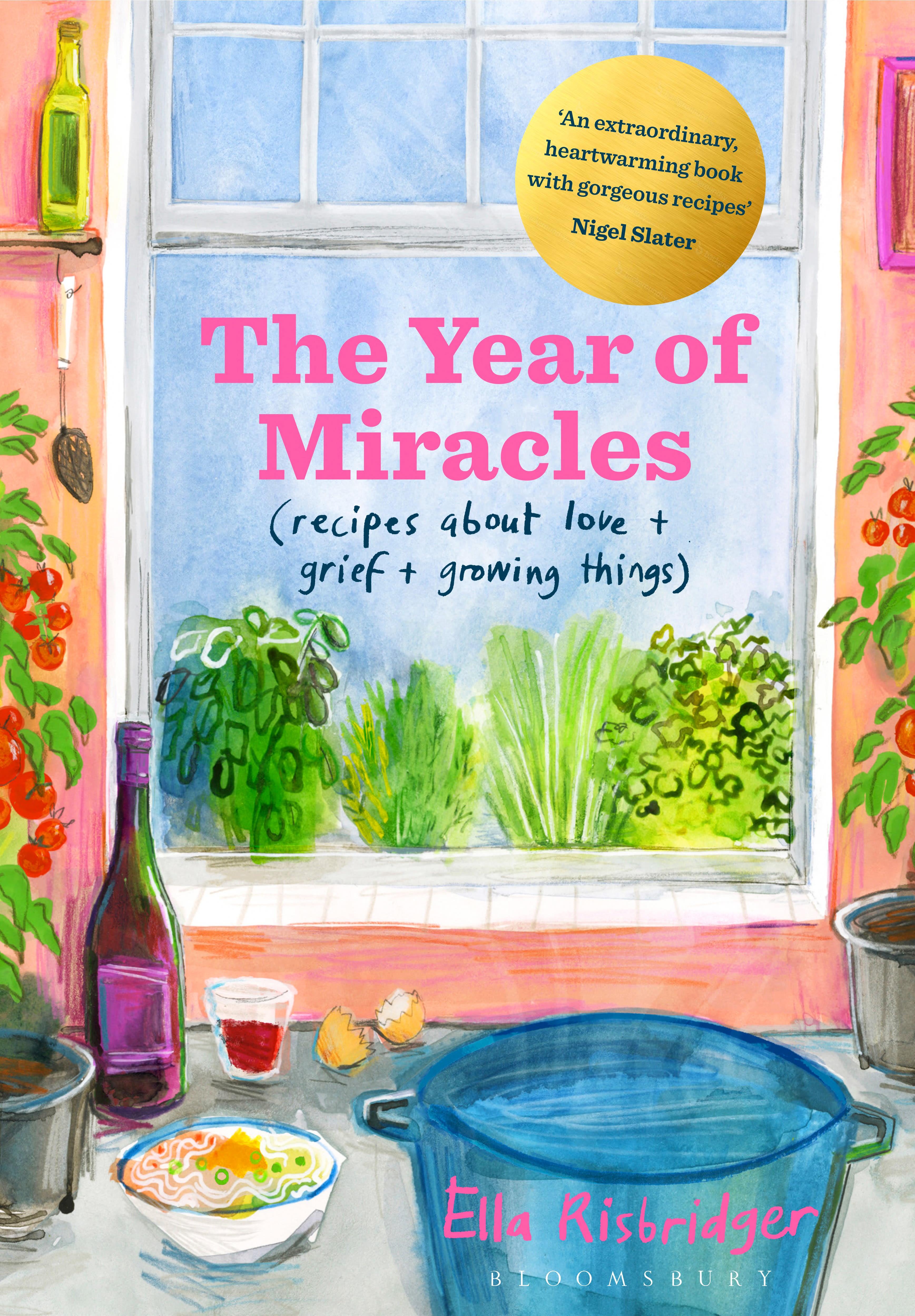 Vorderes Coverbild The Year of Miracles