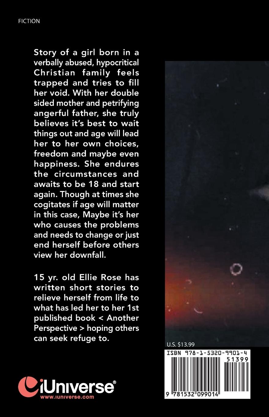 Rückseitencover Another Perspective