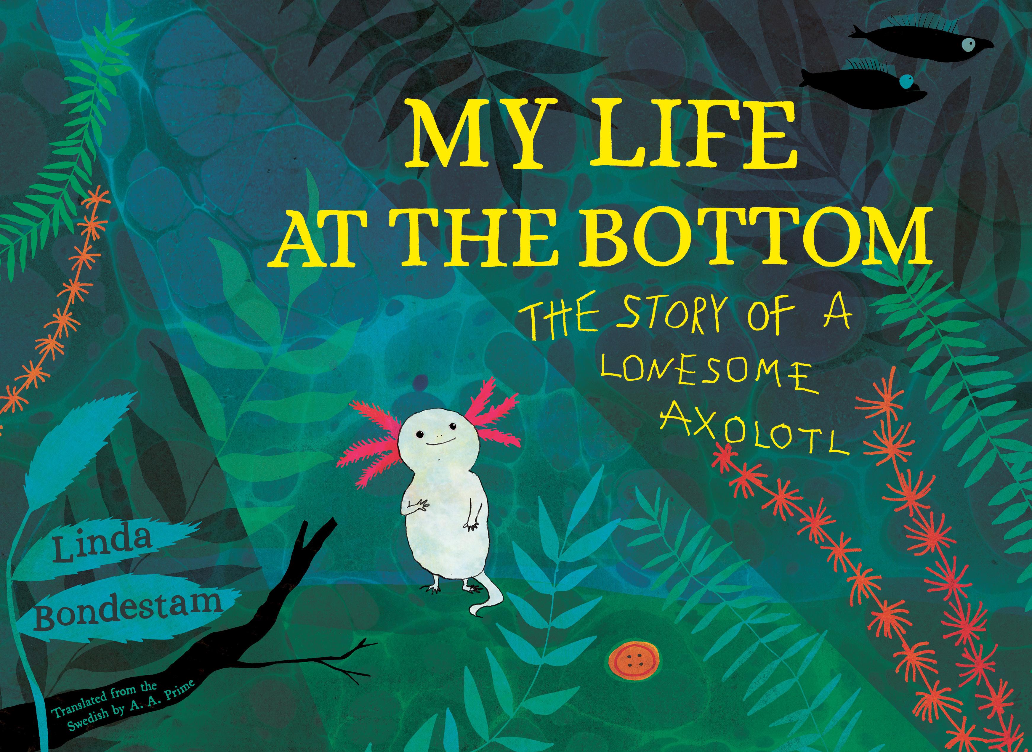 Vorderes Coverbild My Life at the Bottom