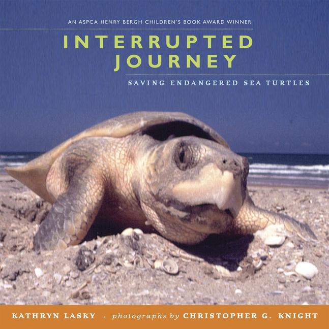 Vorderes Coverbild Interrupted Journey