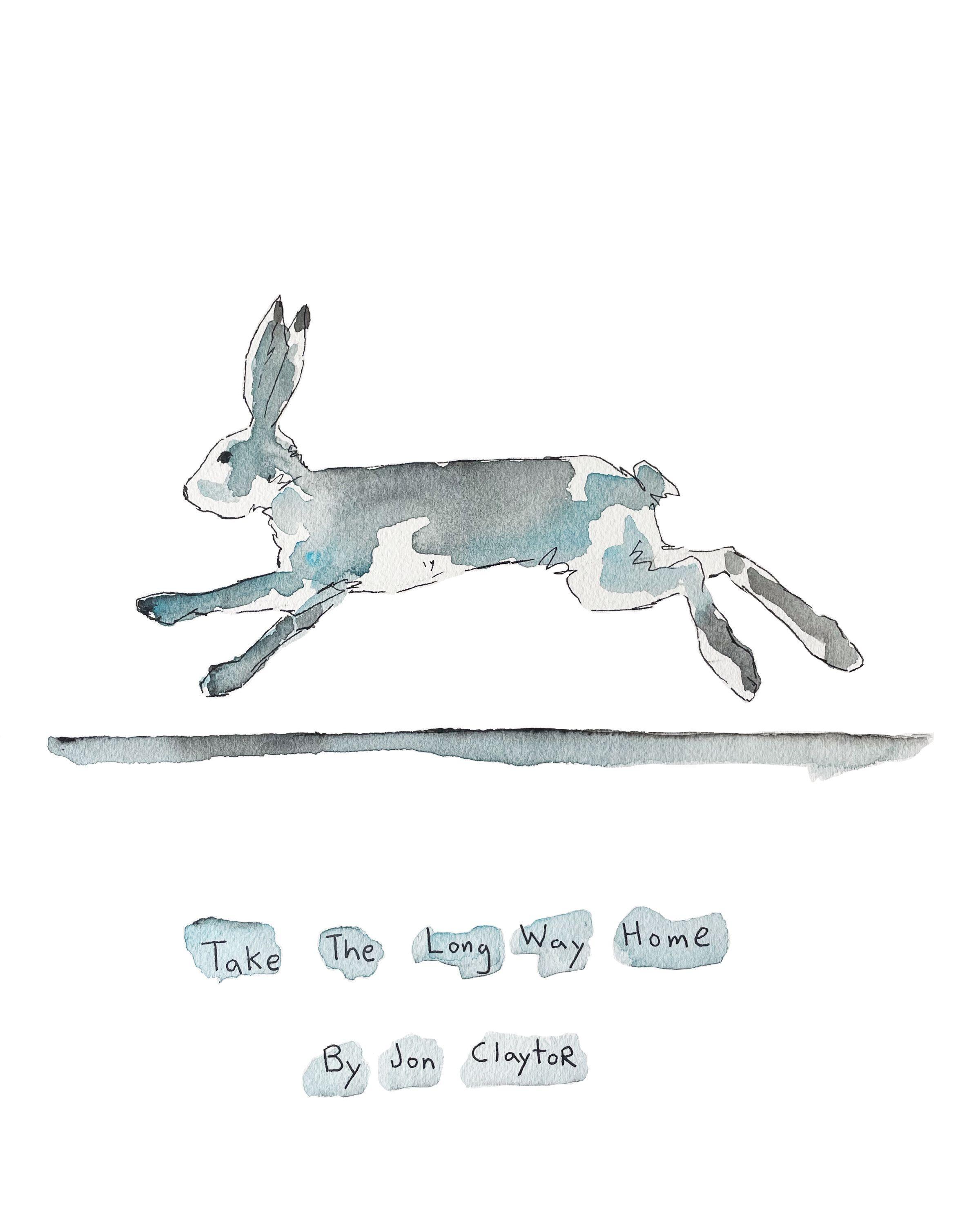 Vorderes Coverbild Take the Long Way Home