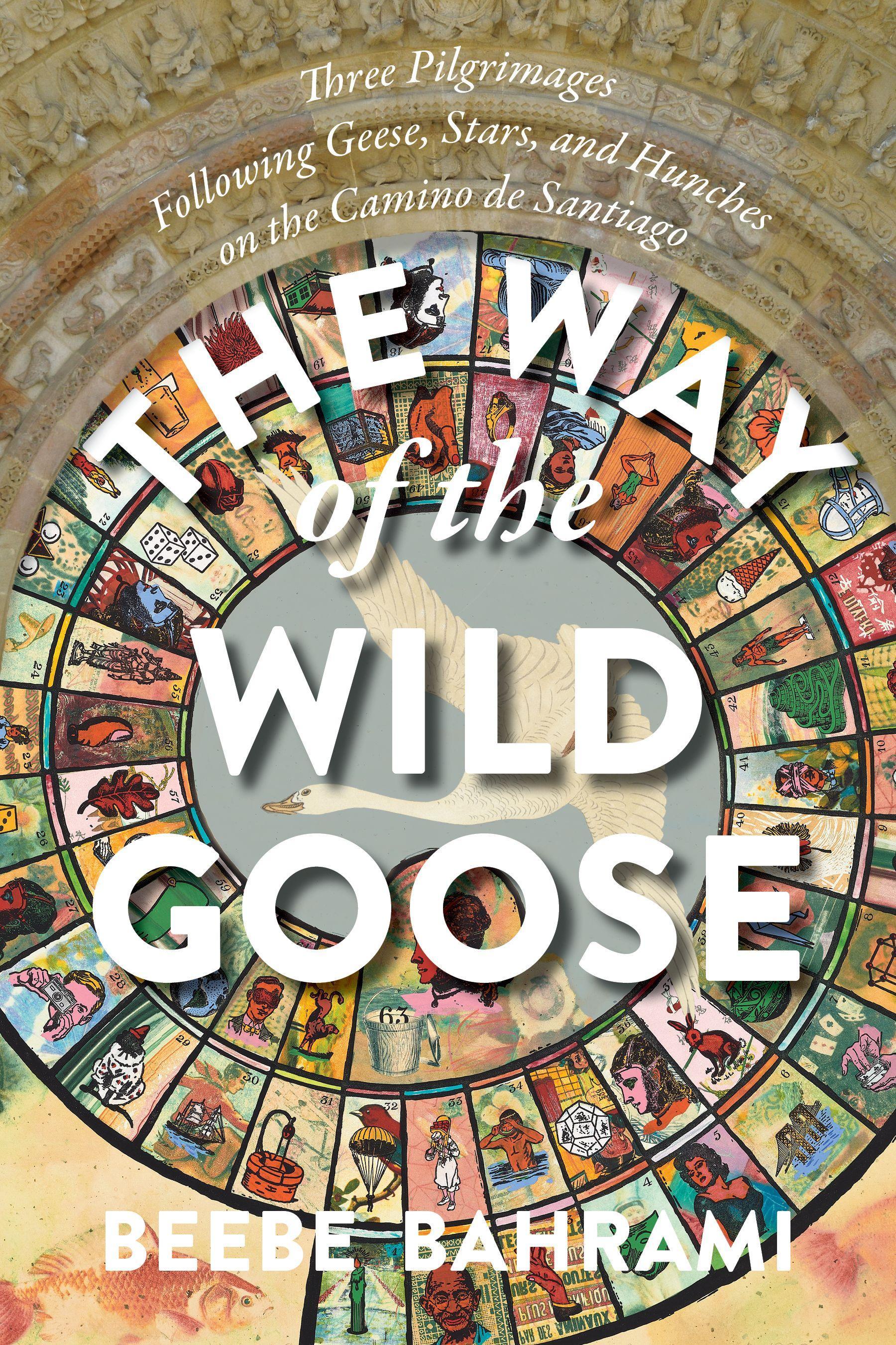 Vorderes Coverbild The Way of the Wild Goose