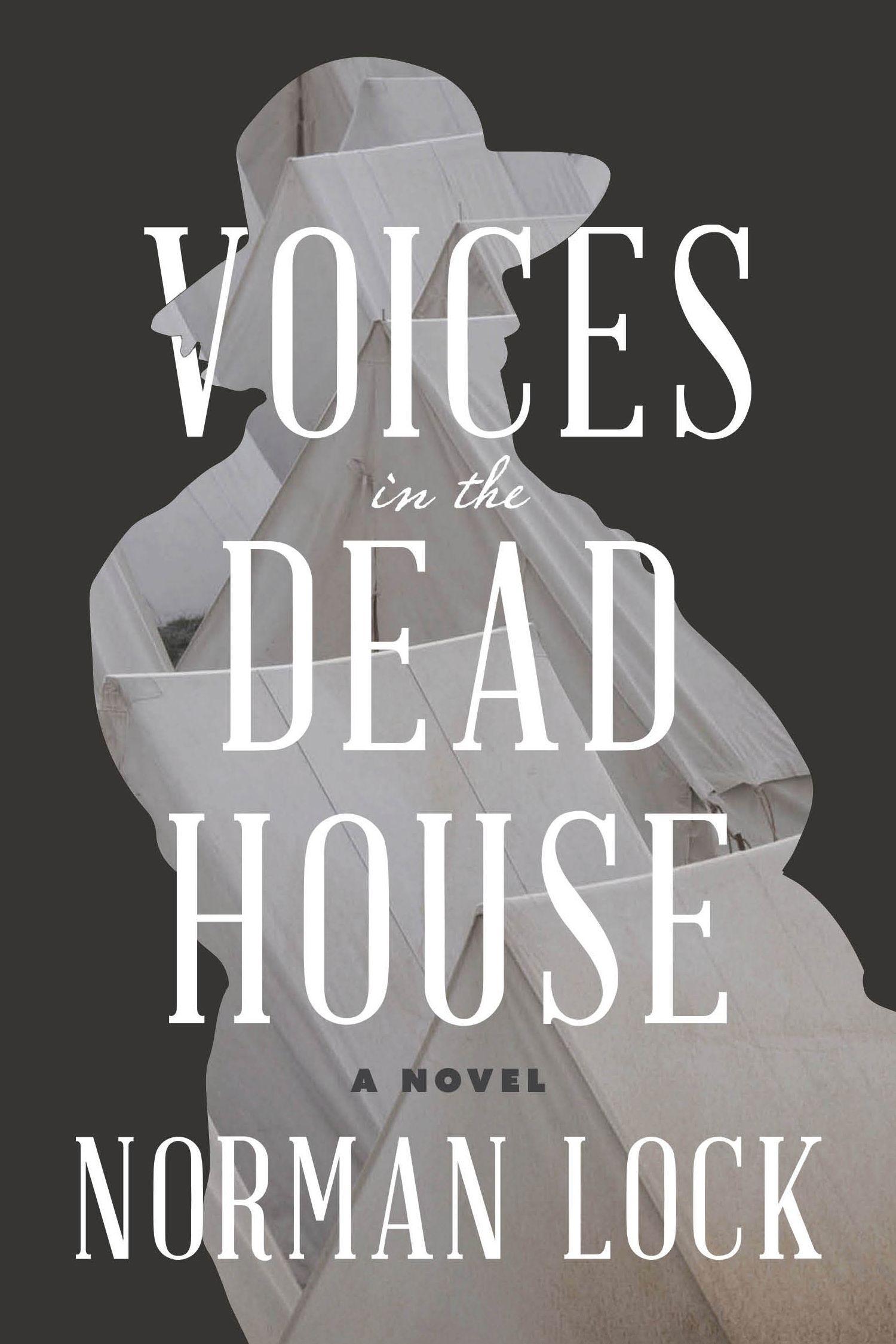Vorderes Coverbild Voices in the Dead House