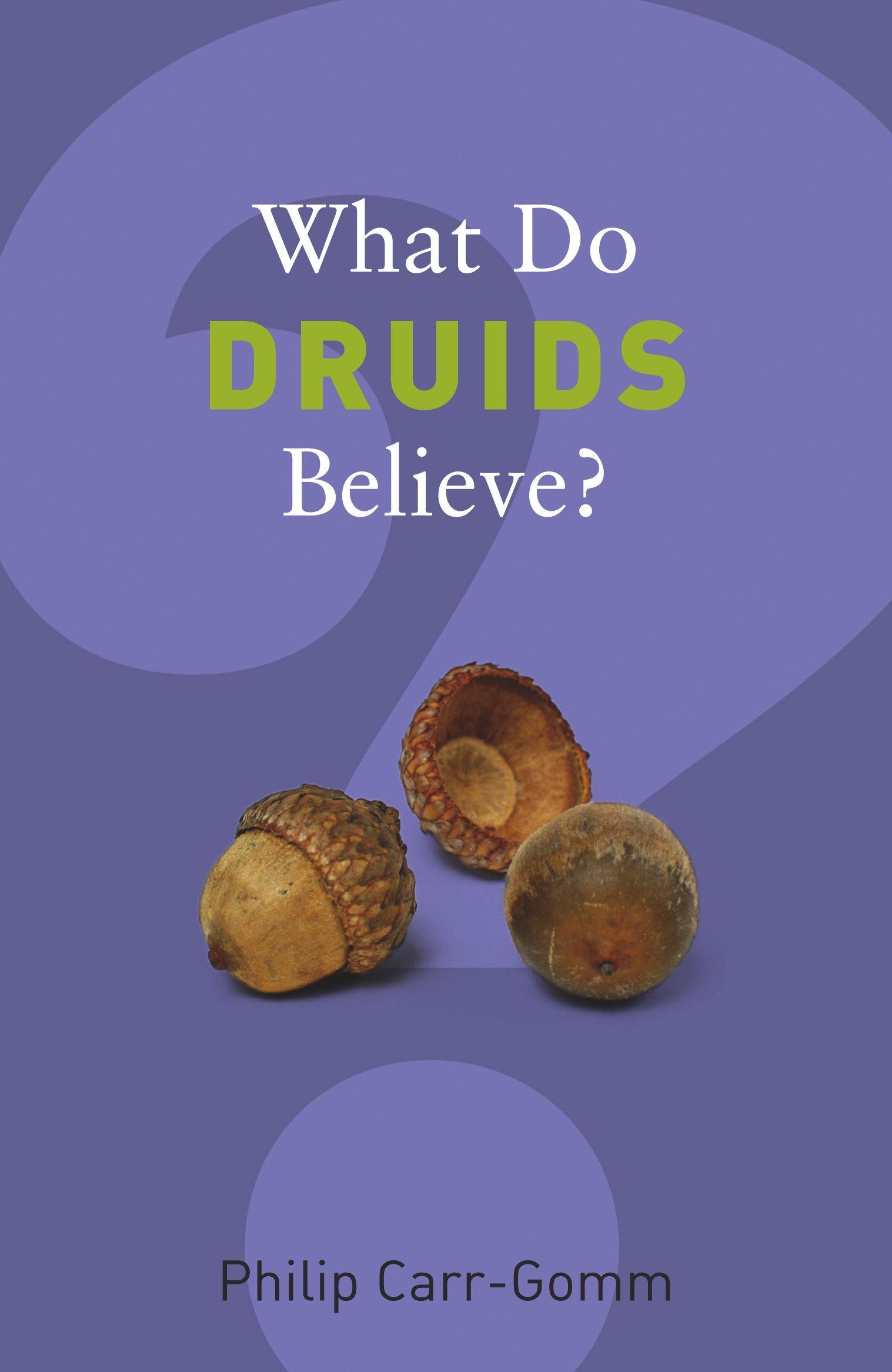 Vorderes Coverbild What Do Druids Believe?