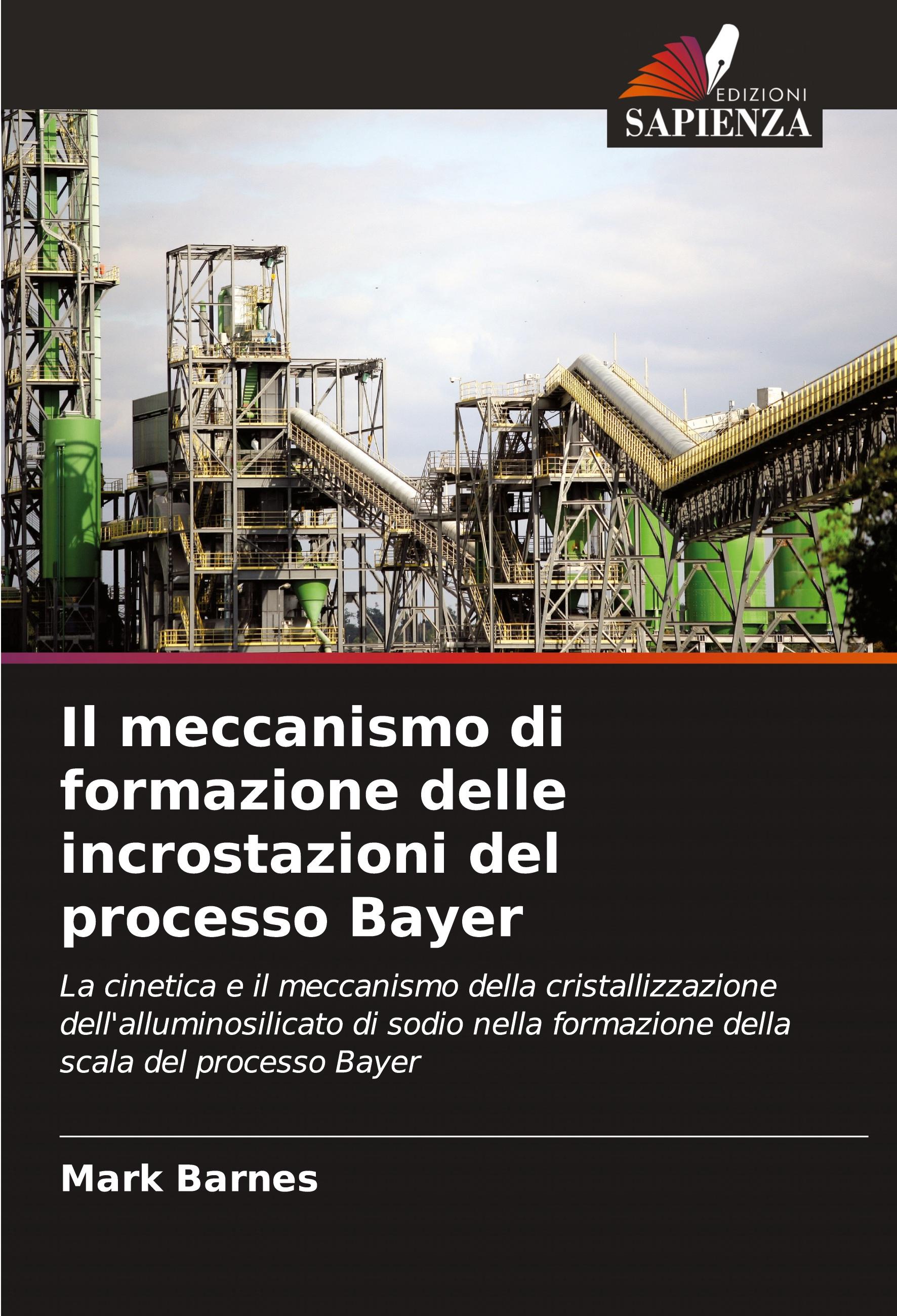 Vorderes Coverbild Il meccanismo di formazione delle incrostazioni del processo Bayer