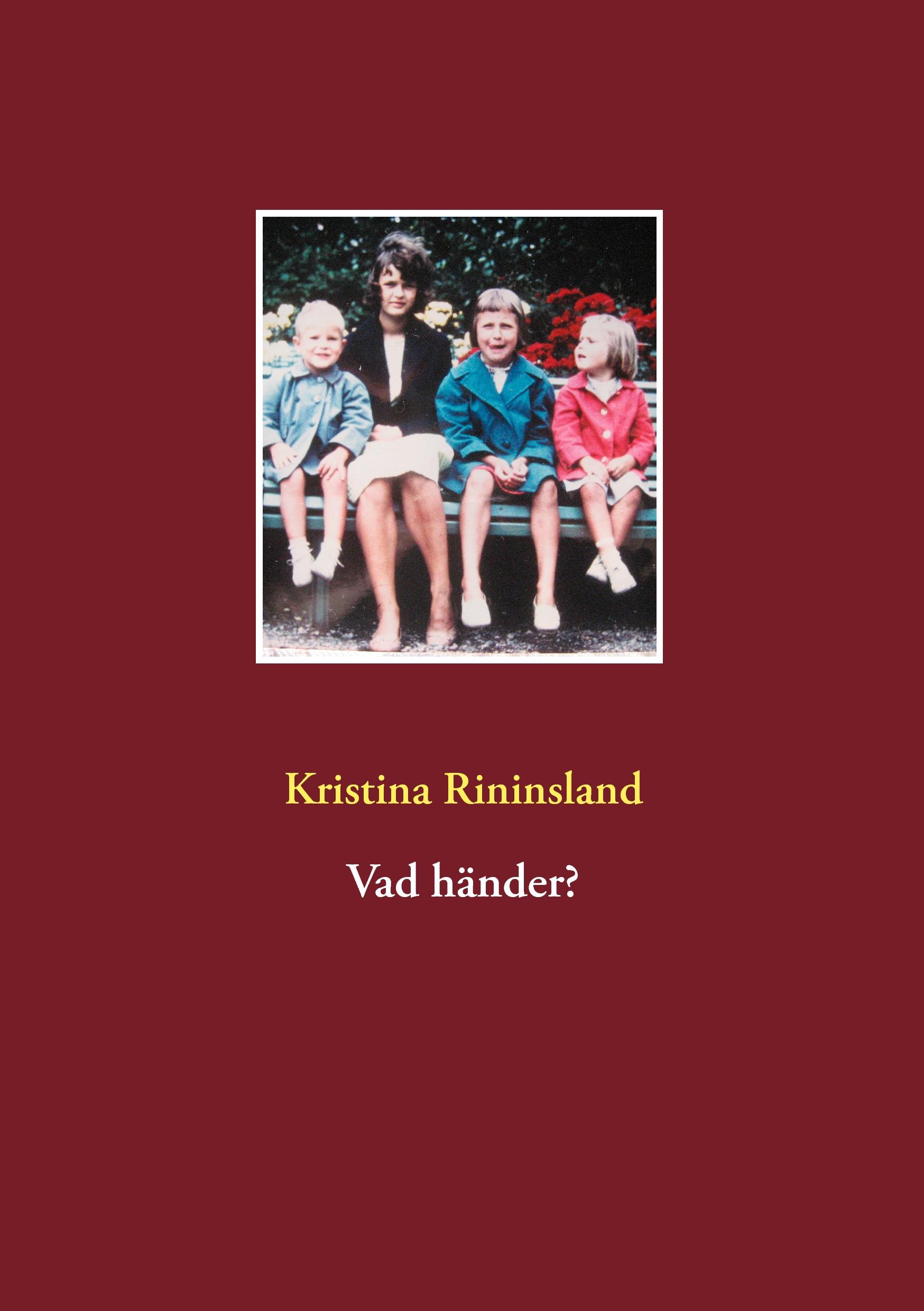 Vorderes Coverbild The Personal Memoirs of U.S. Grant, Vol 2.