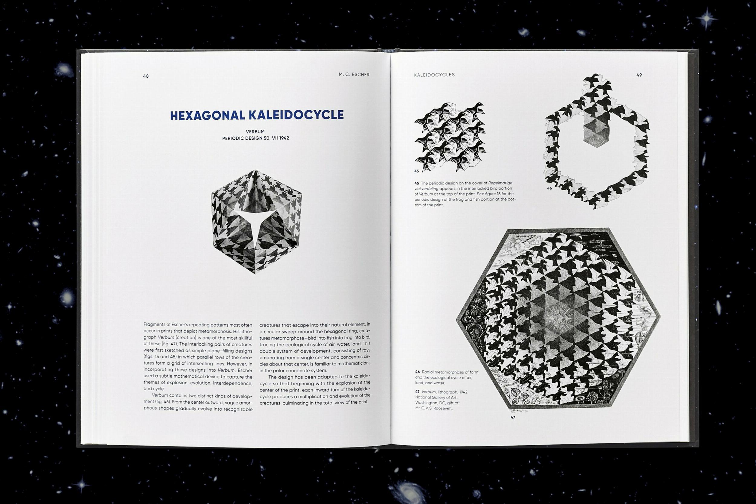 Beispielinhalt (Bild) M.C. Escher. Kaleidocycles