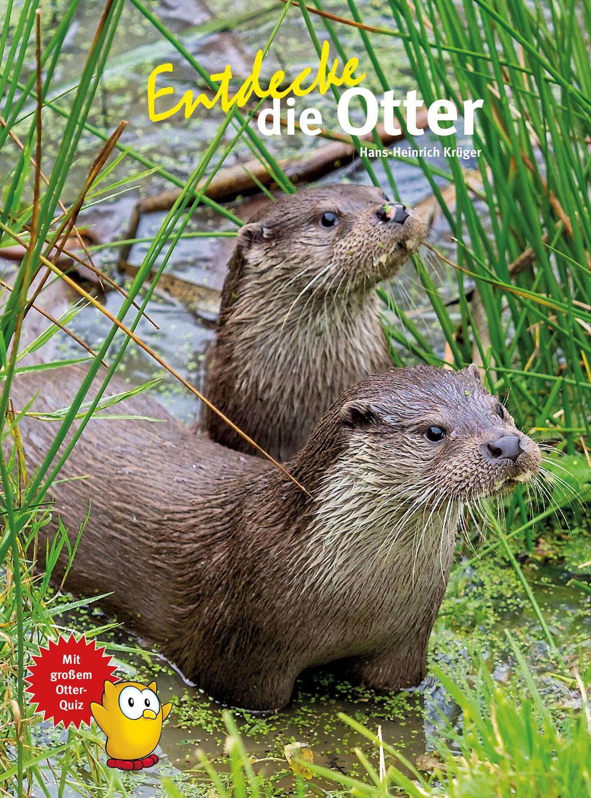 Vorderes Coverbild Entdecke die Otter