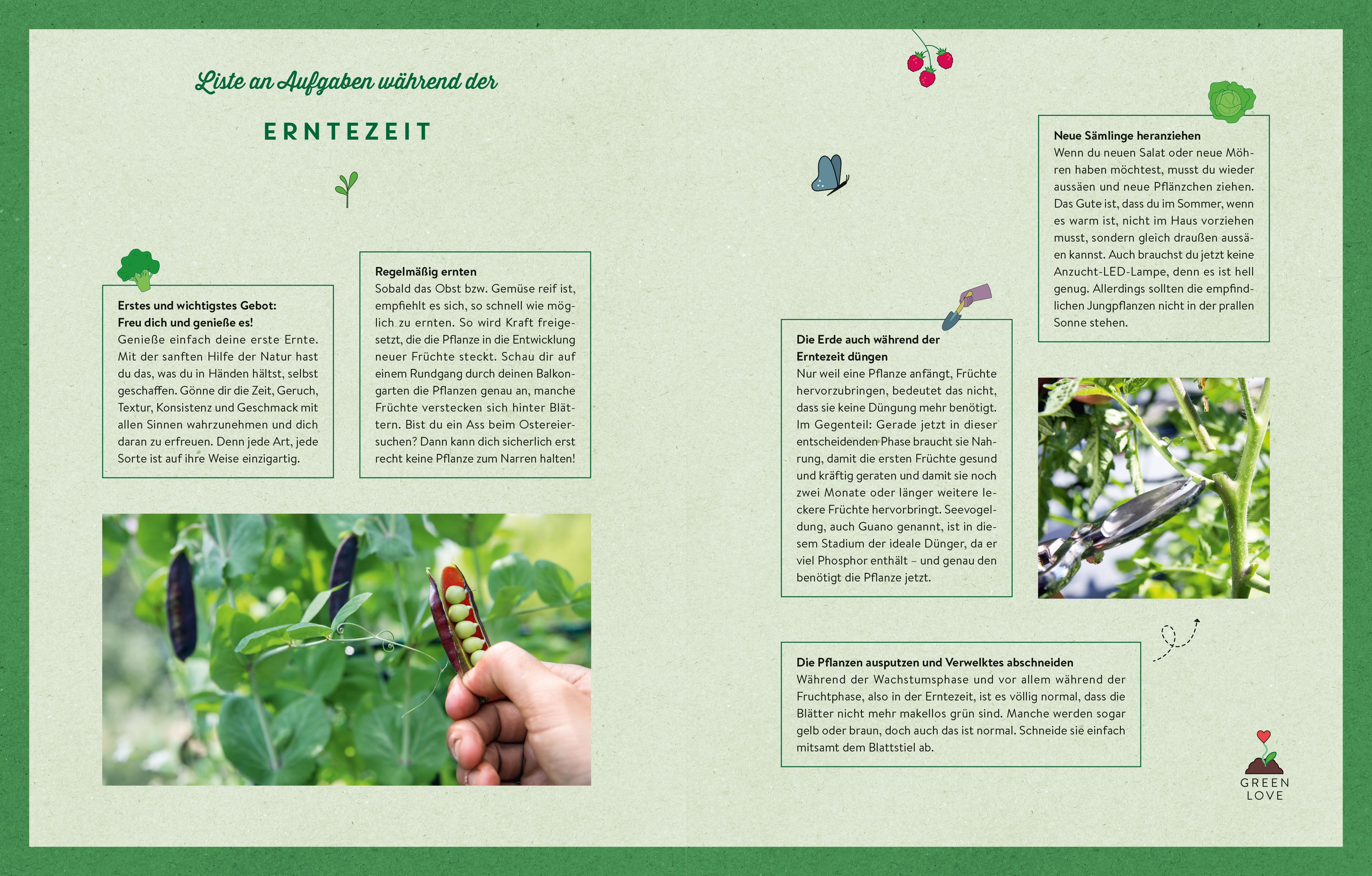 Beispielinhalt (Bild) The Frenchie Gardener