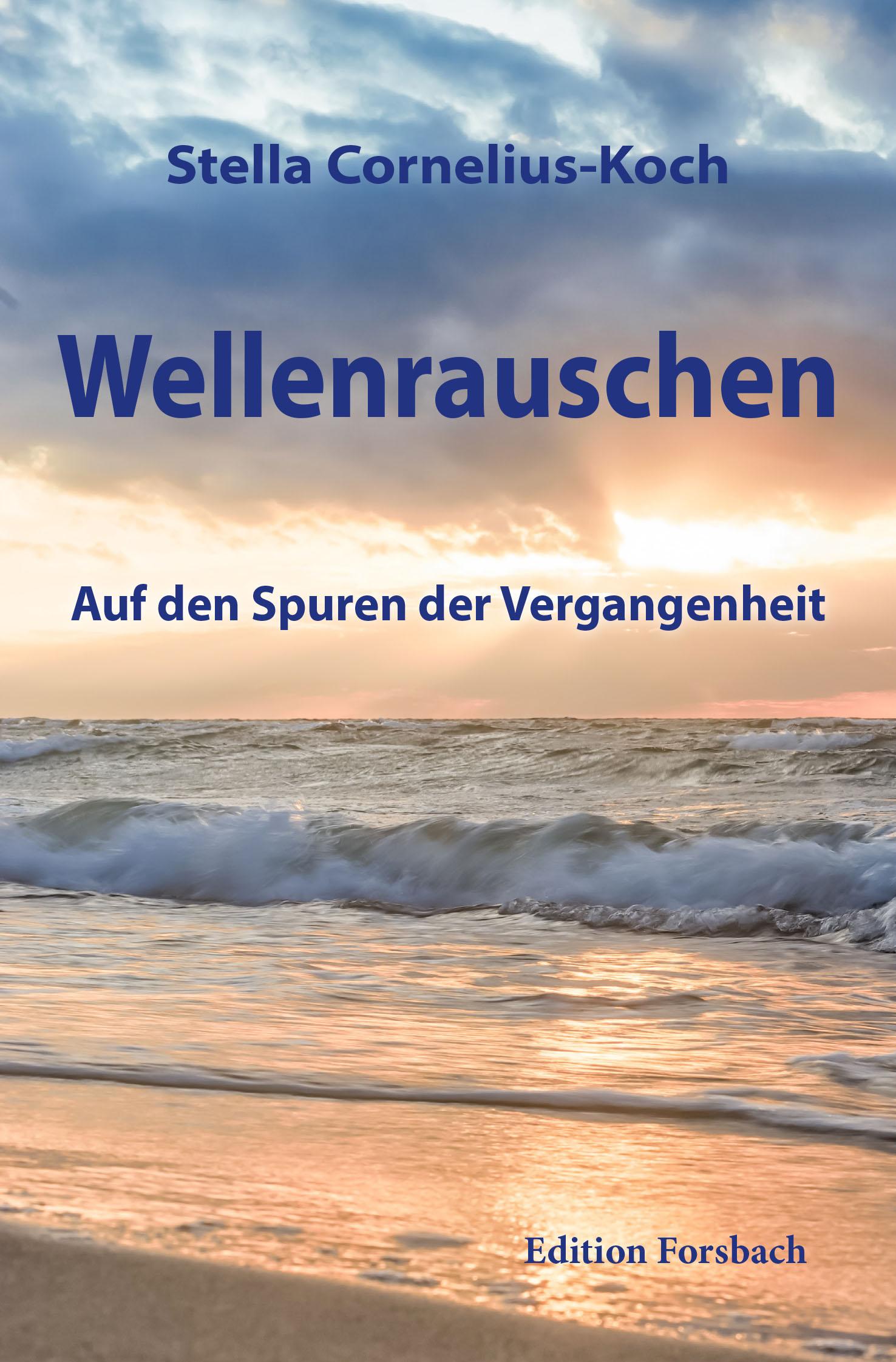 Vorderes Coverbild Wellenrauschen