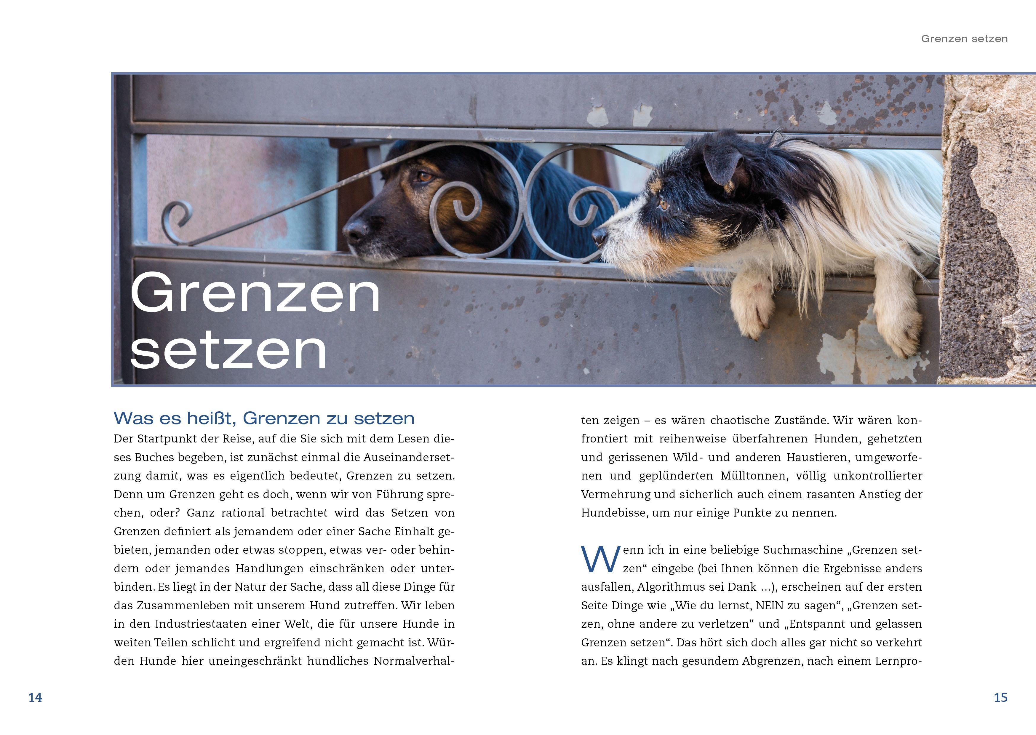 Beispielinhalt (Bild) Hunde achtsam führen
