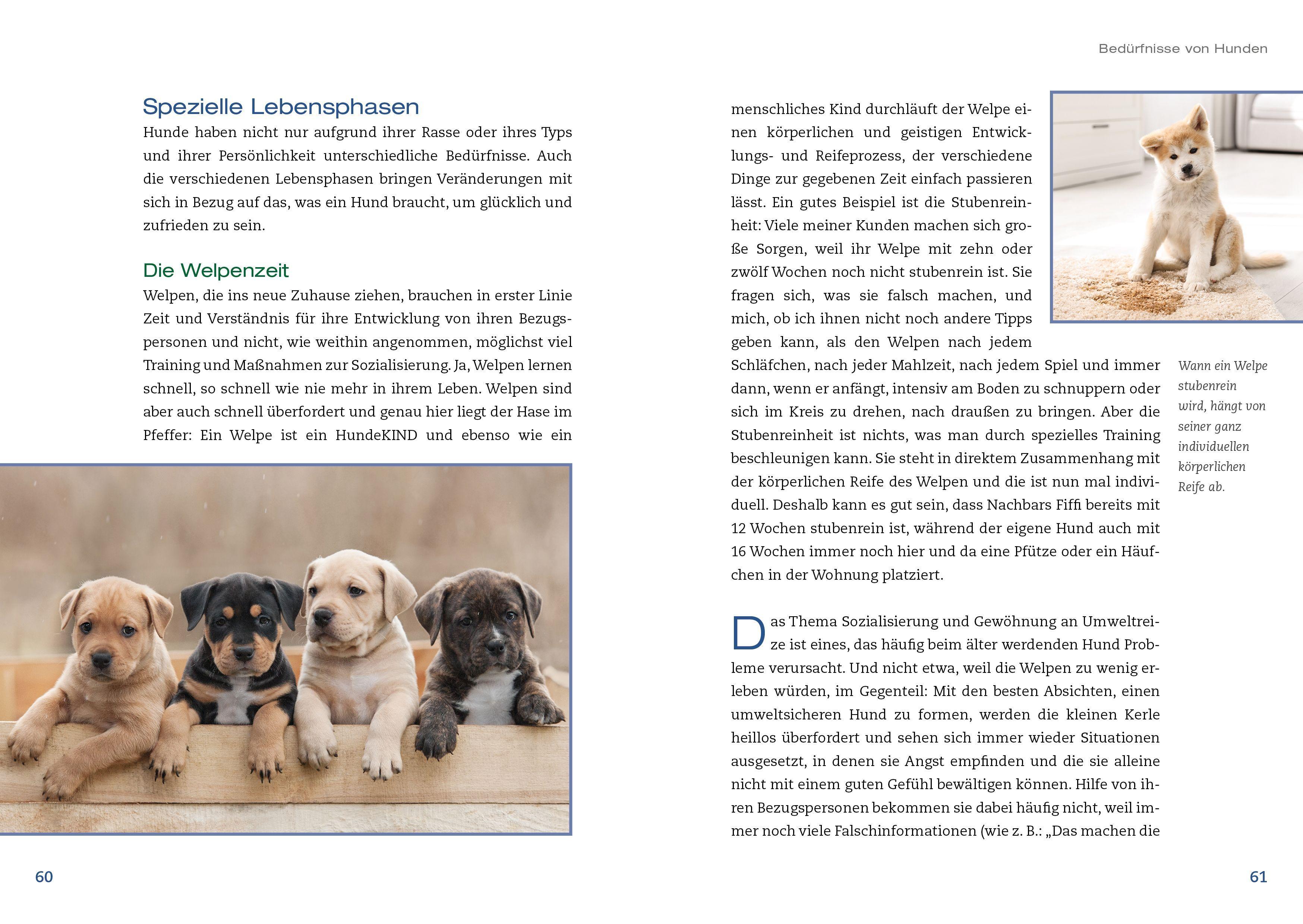 Beispielinhalt (Bild) Hunde achtsam führen