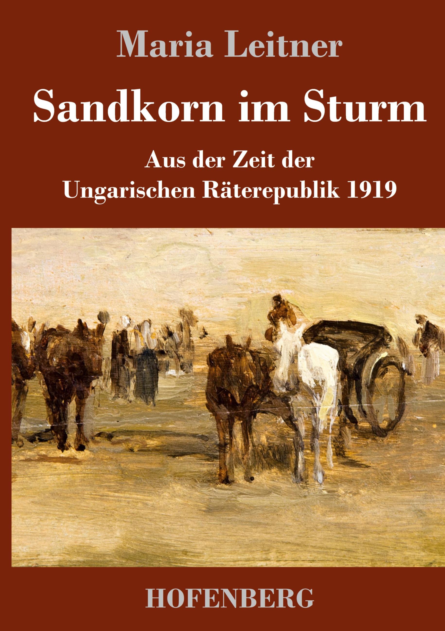 Vorderes Coverbild Sandkorn im Sturm