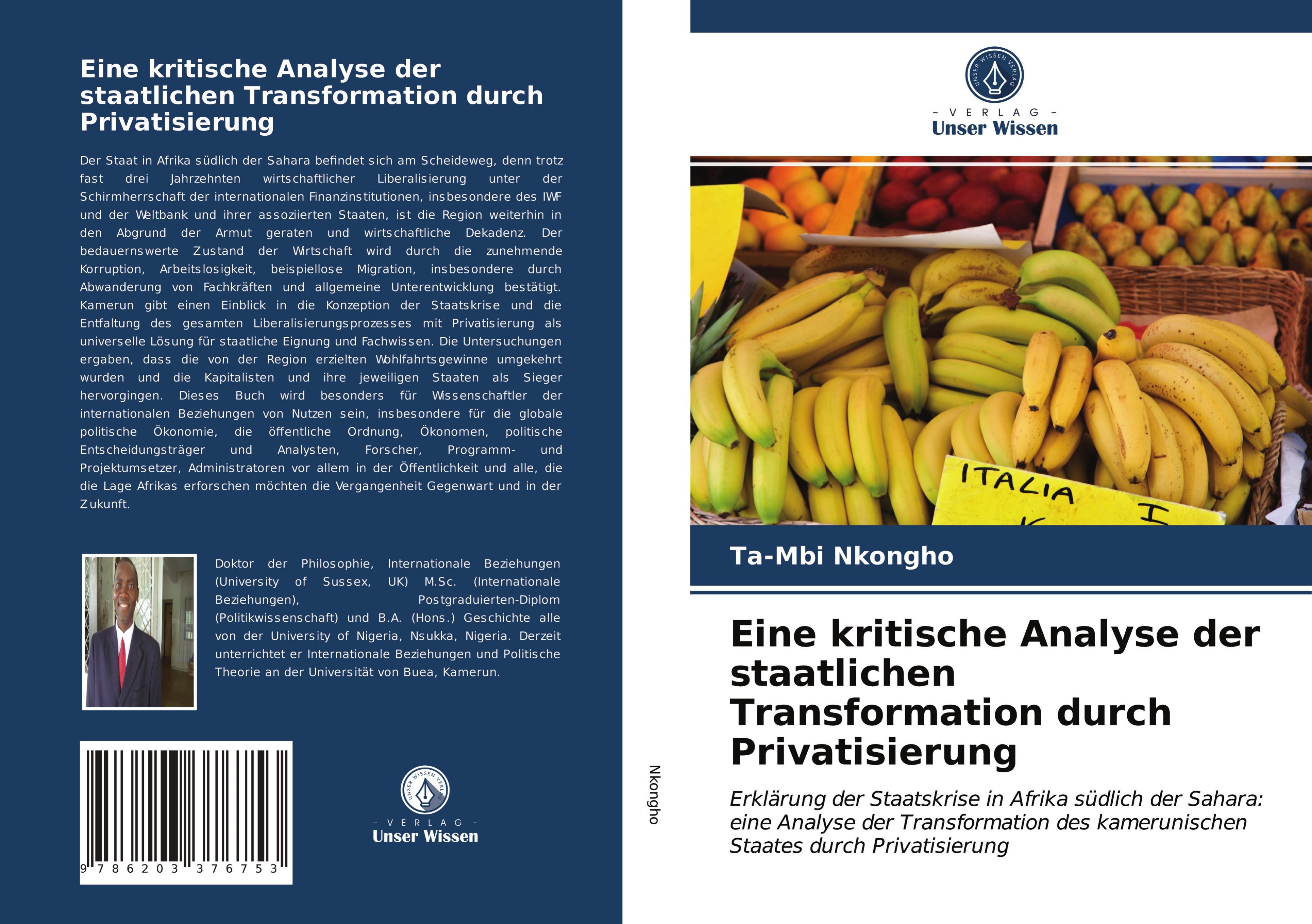 Vorderes Coverbild Eine kritische Analyse der staatlichen Transformation durch Privatisierung