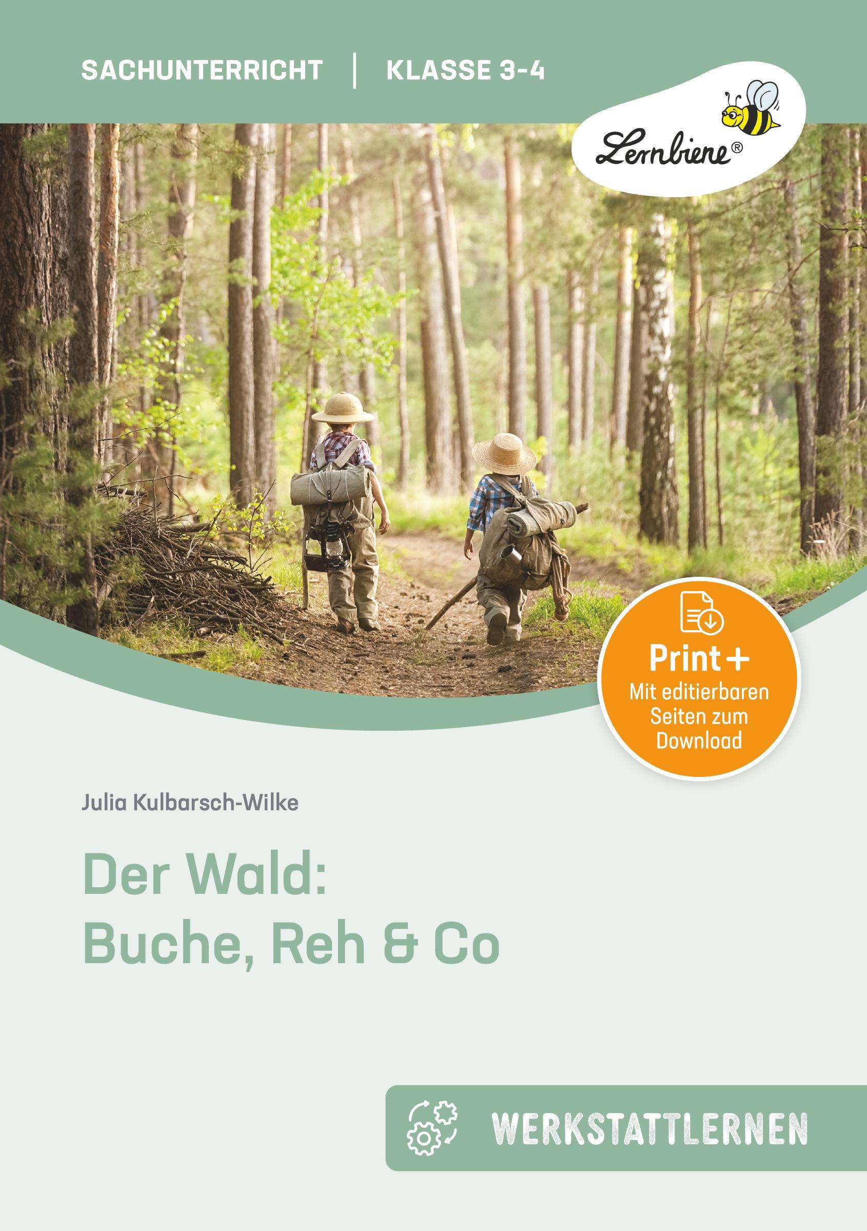 Vorderes Coverbild Der Wald: Buche, Reh & Co