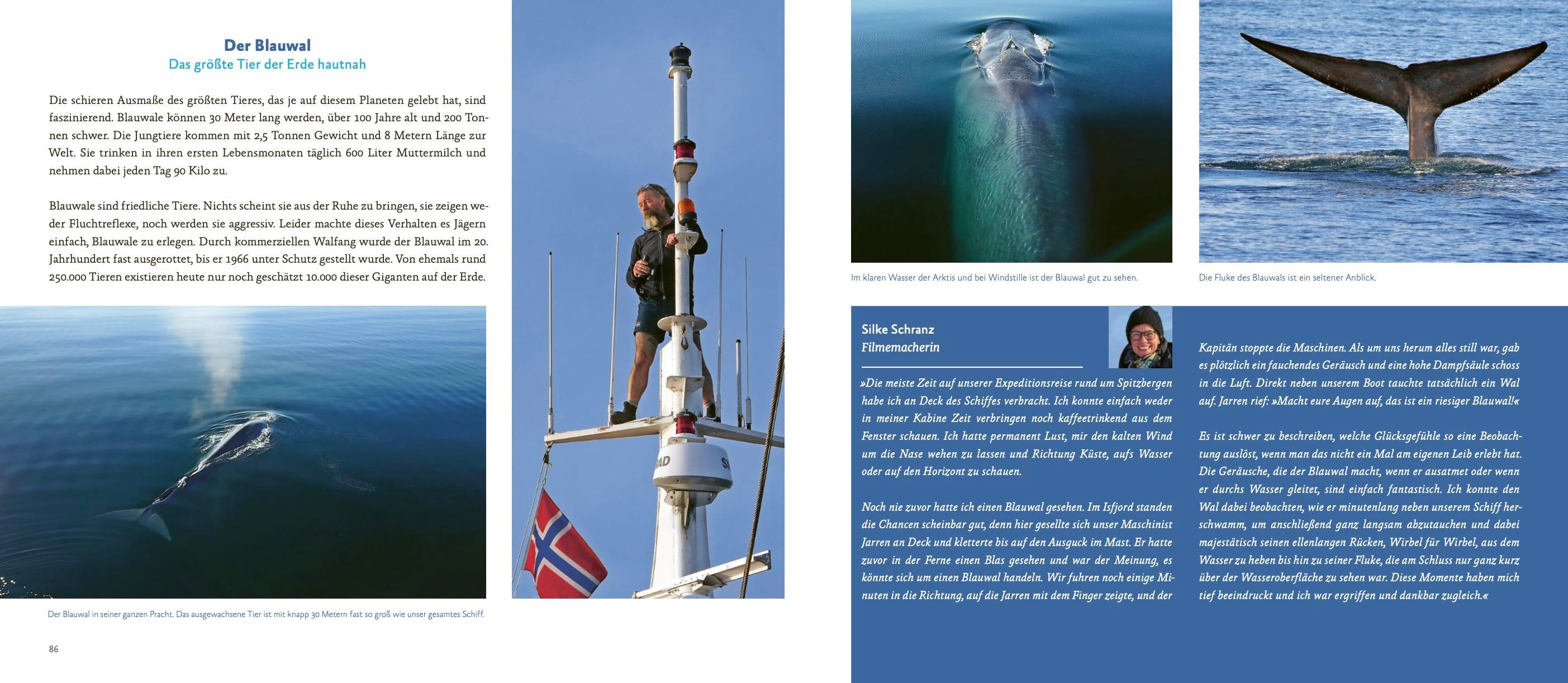 Beispielinhalt (Bild) Spitzbergen