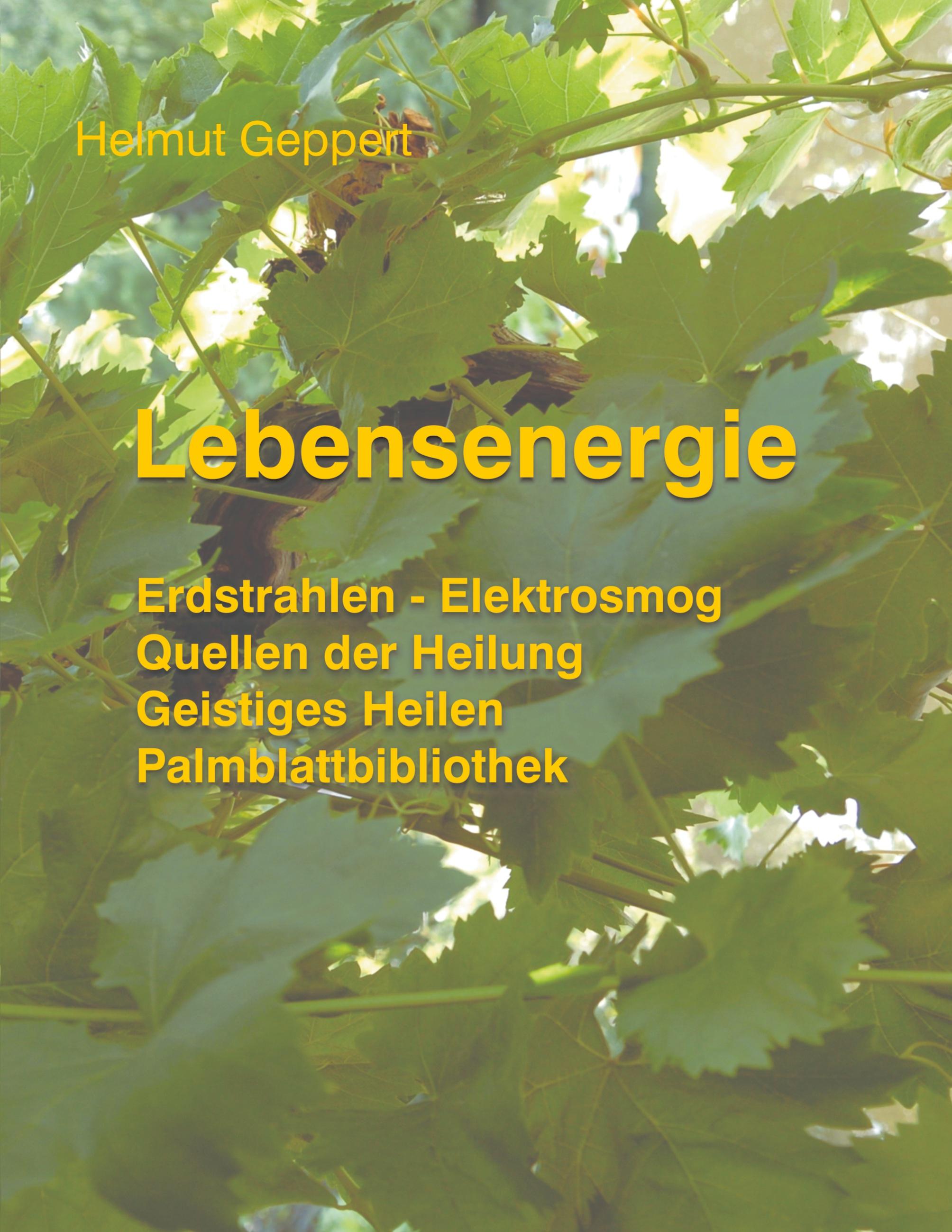 Vorderes Coverbild Lebensenergie