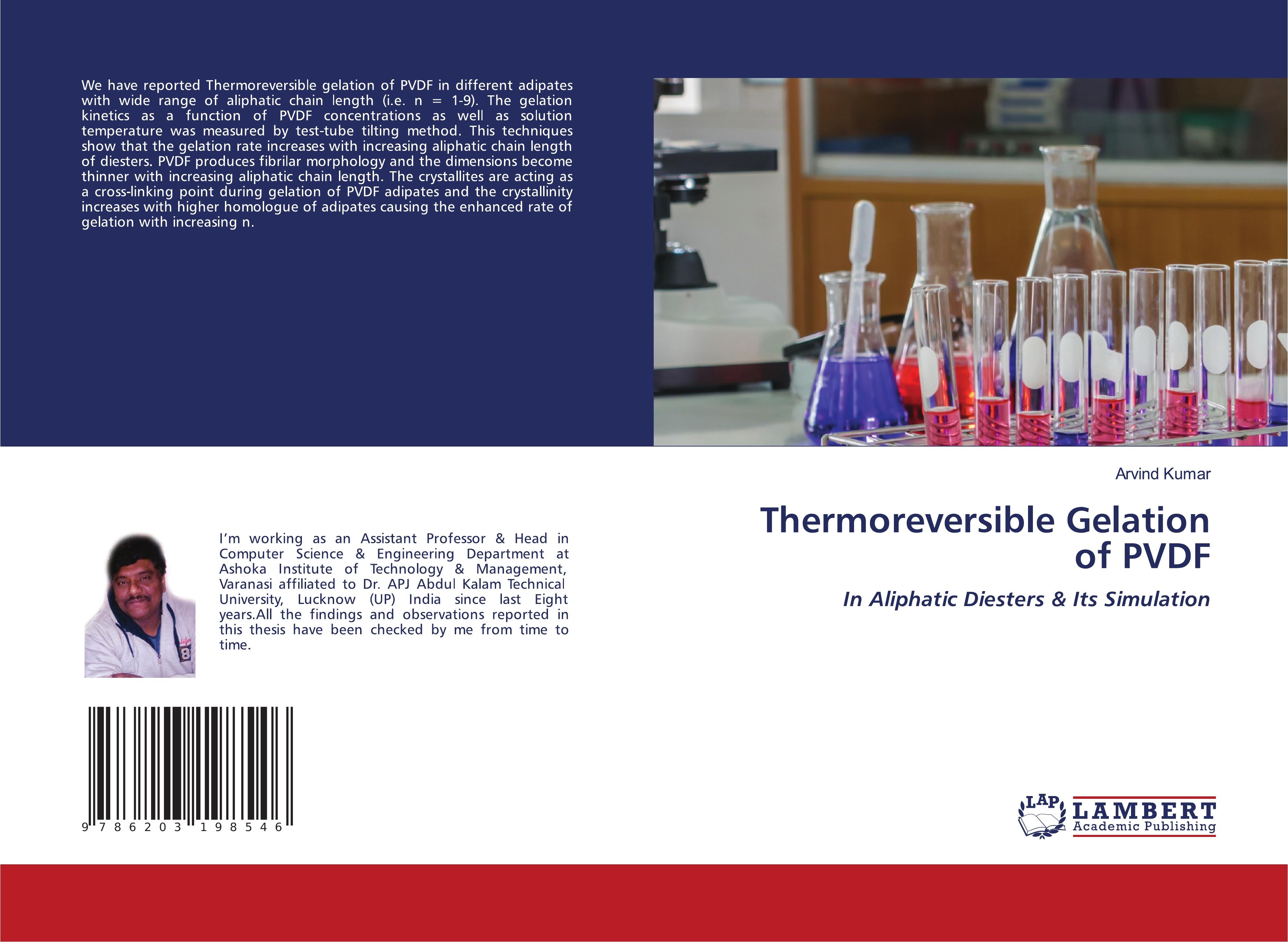 Vorderes Coverbild Thermoreversible Gelation of PVDF