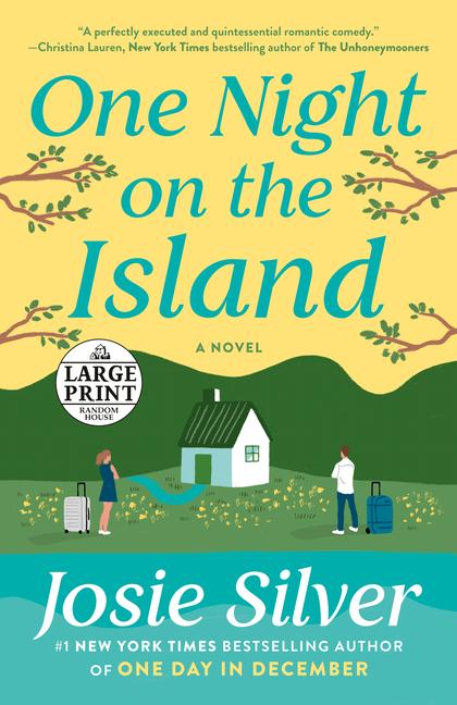 Vorderes Coverbild One Night on the Island