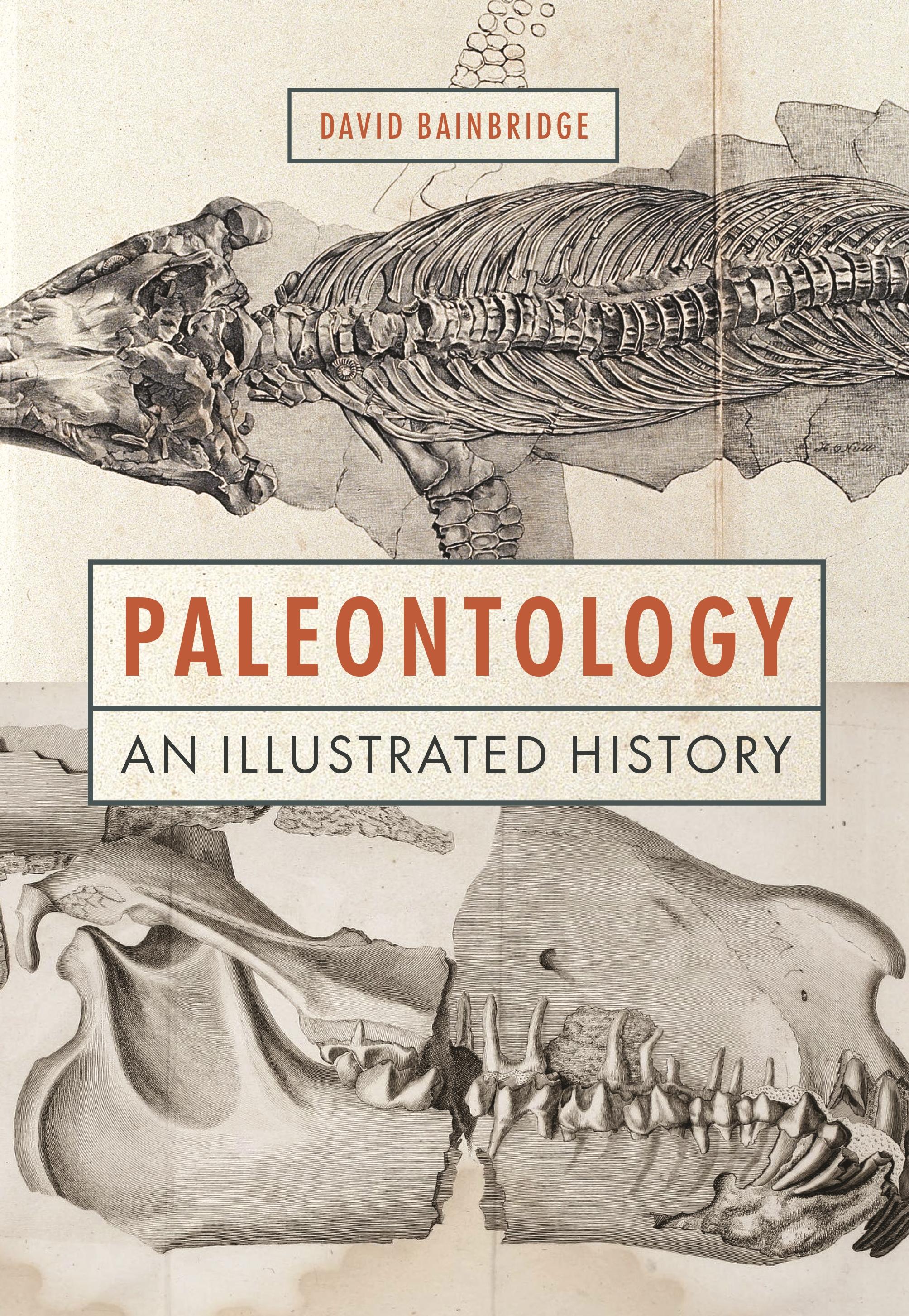 Vorderes Coverbild Paleontology