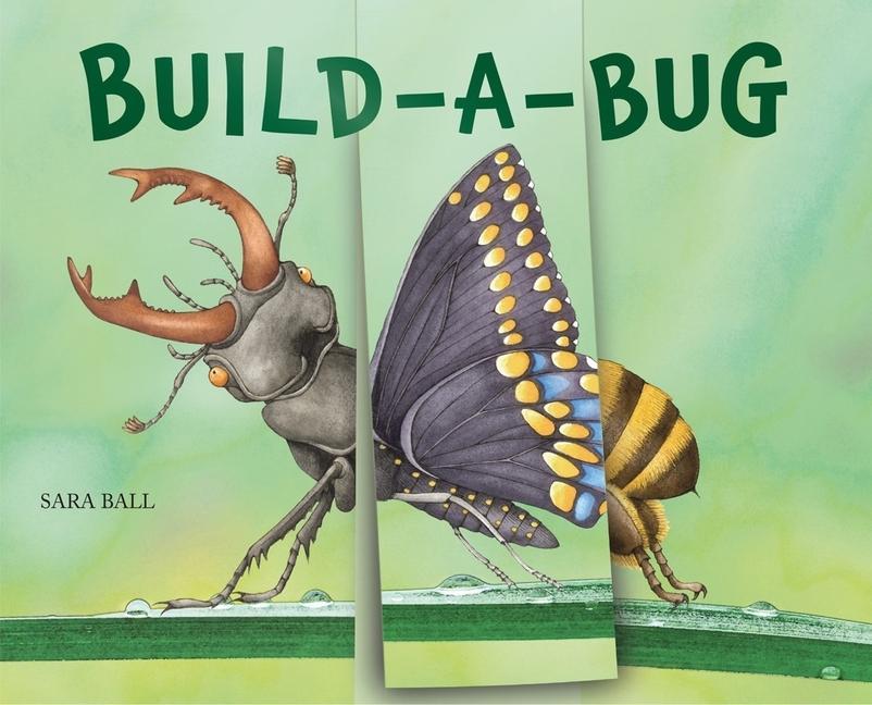 Vorderes Coverbild Build-A-Bug