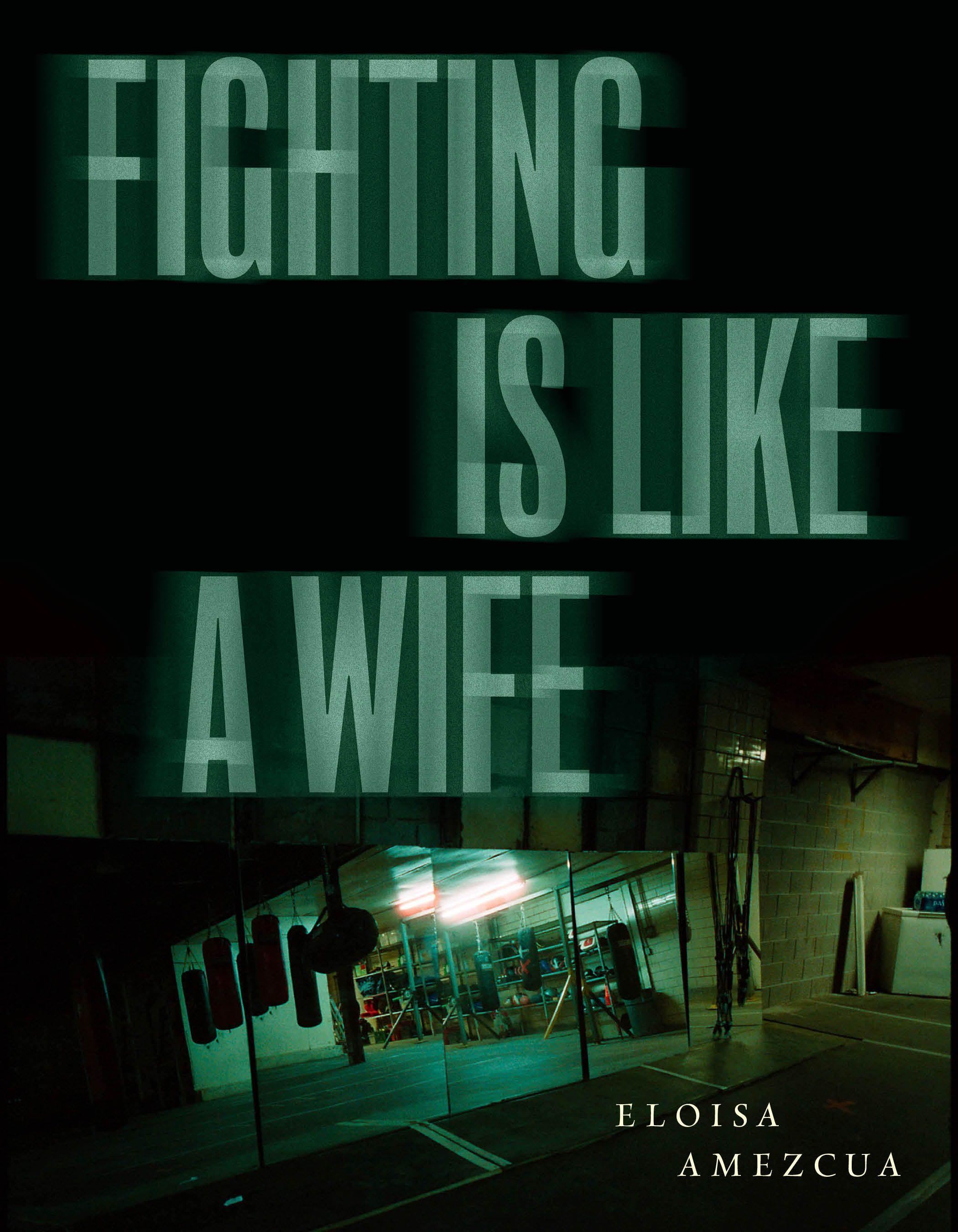 Vorderes Coverbild Fighting Is Like a Wife