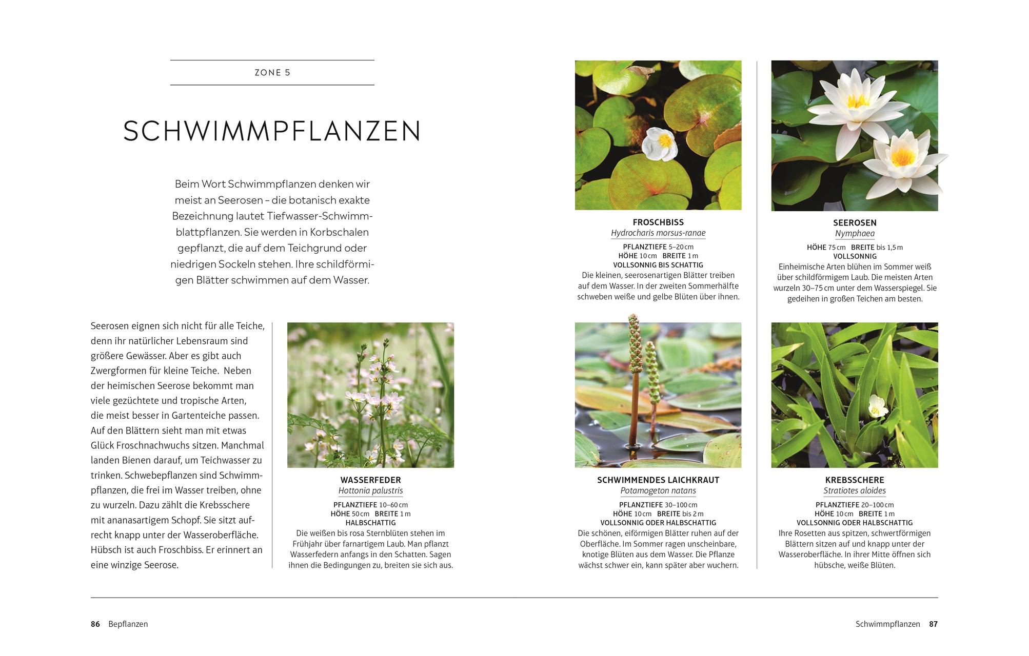 Beispielinhalt (Bild) Leben am Gartenteich