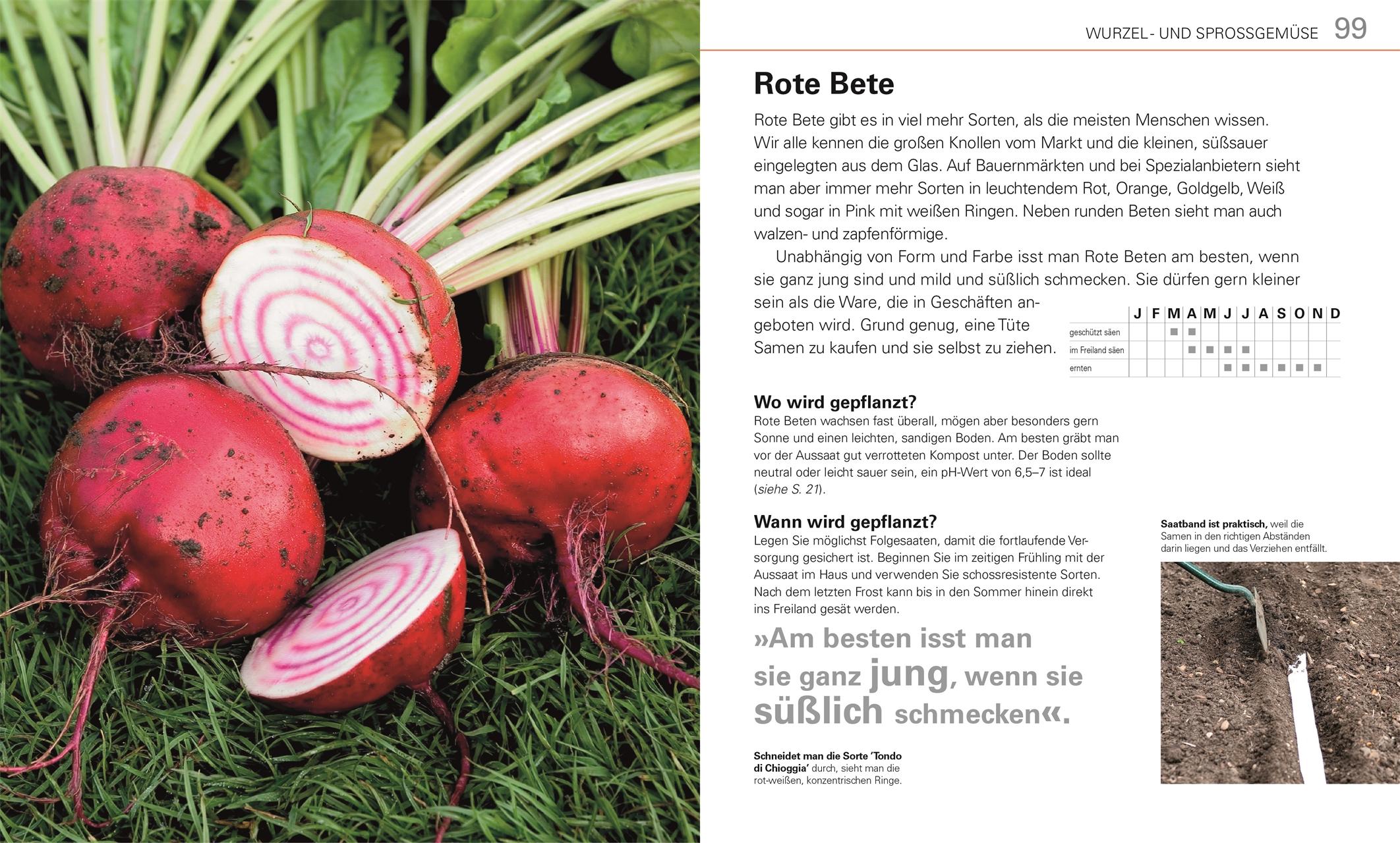 Beispielinhalt (Bild) Gemüse für jeden Garten