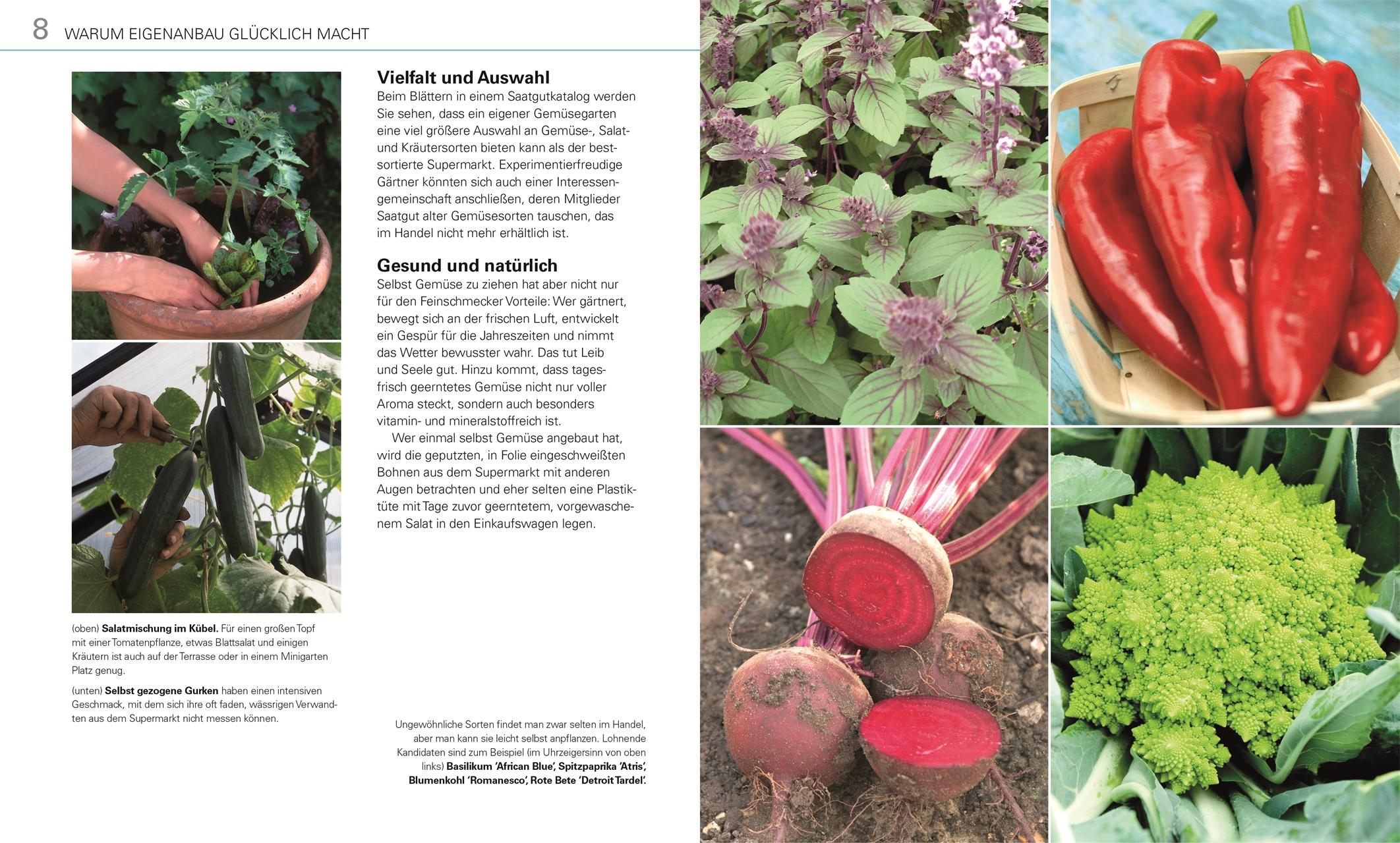 Beispielinhalt (Bild) Gemüse für jeden Garten