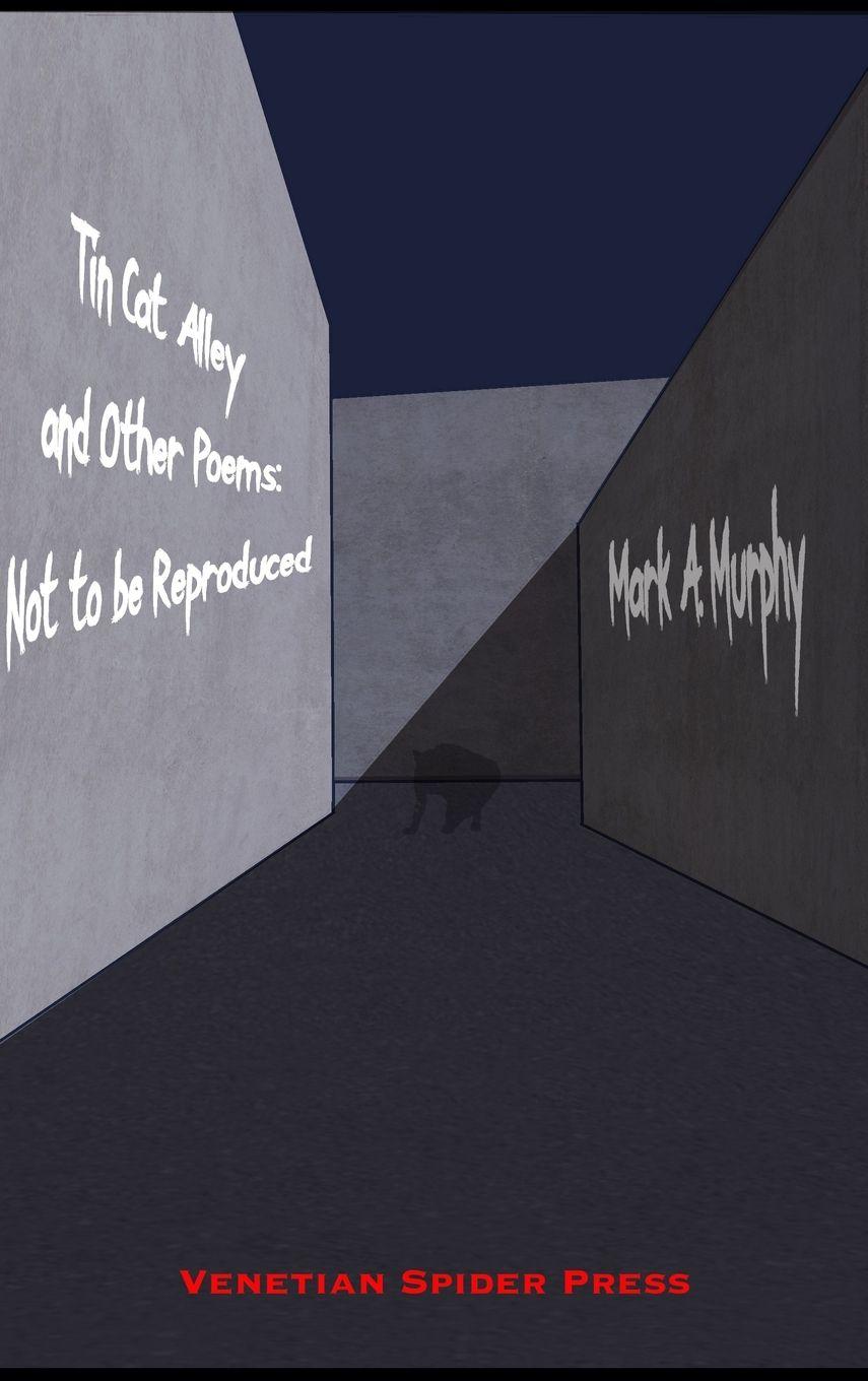 Vorderes Coverbild Tin Cat Alley...and other poems