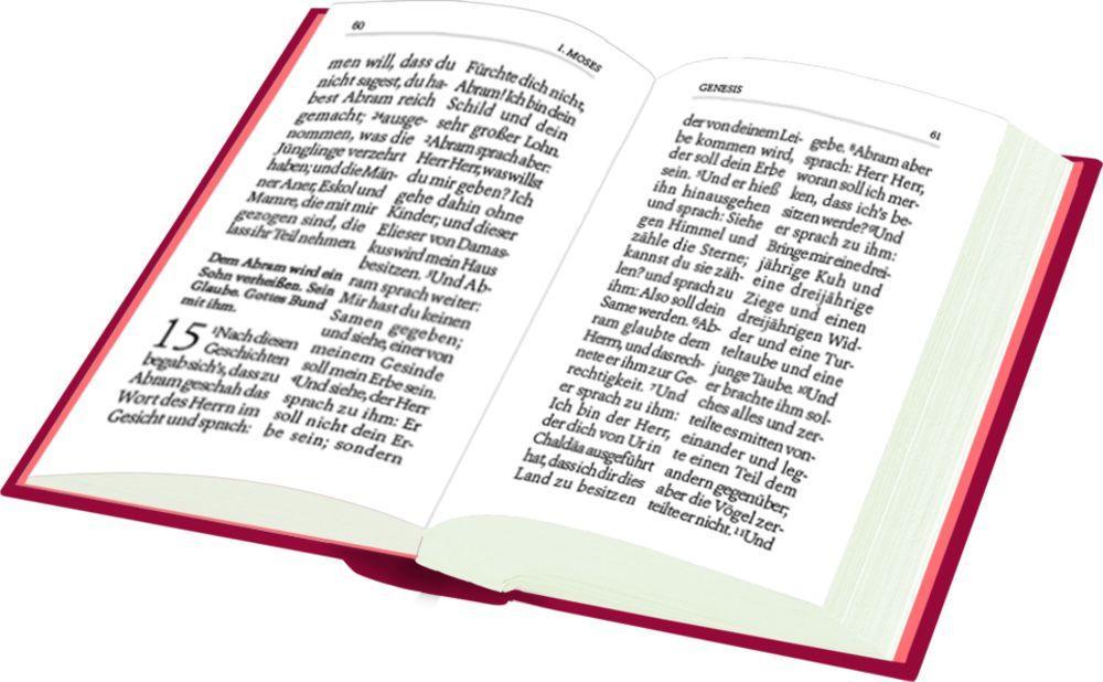 Beispielinhalt (Bild) Schlüsselanhänger - Bibel to go