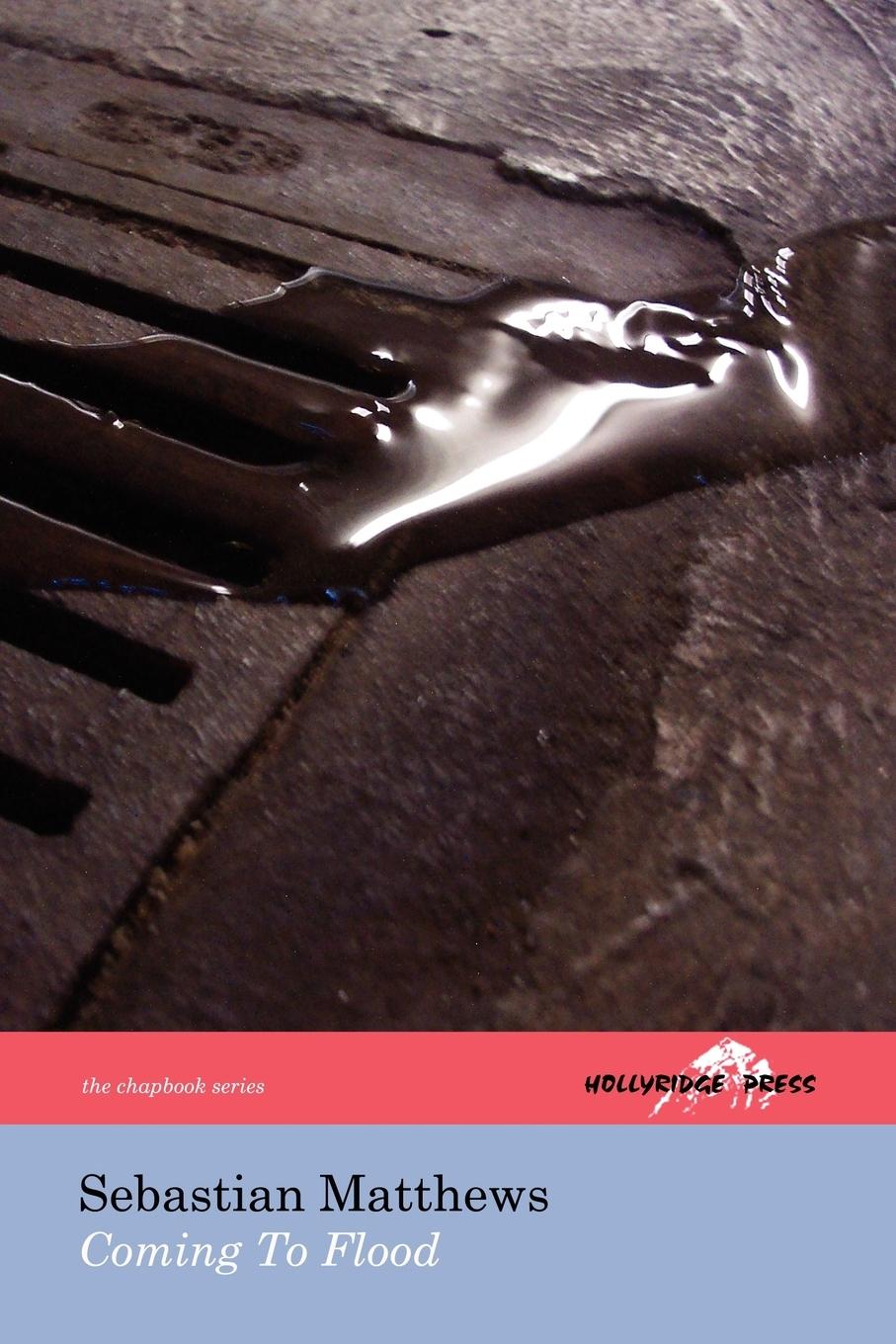 Vorderes Coverbild Coming To Flood (The Hollyridge Press Chapbook Series)