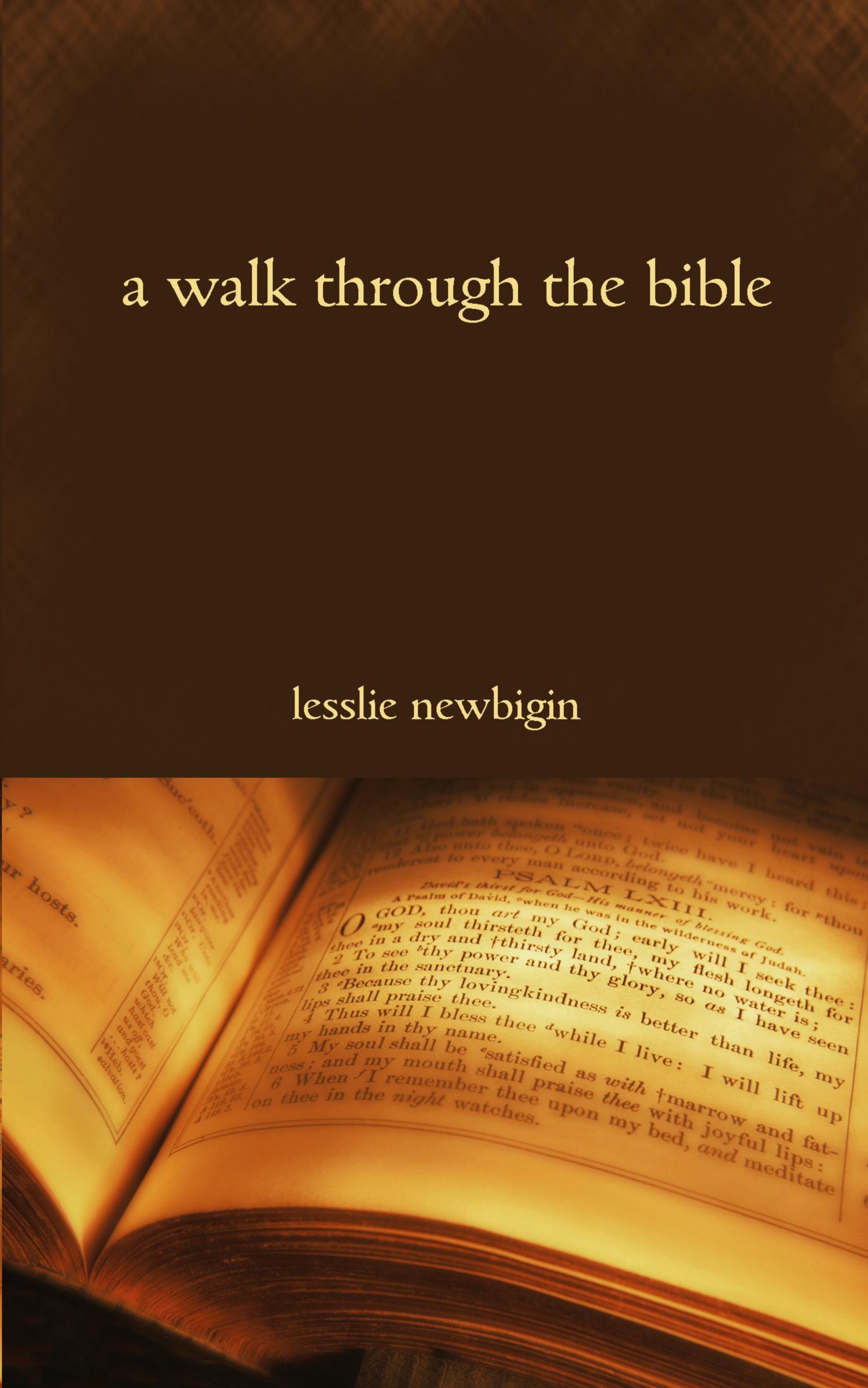 Vorderes Coverbild A Walk Through the Bible